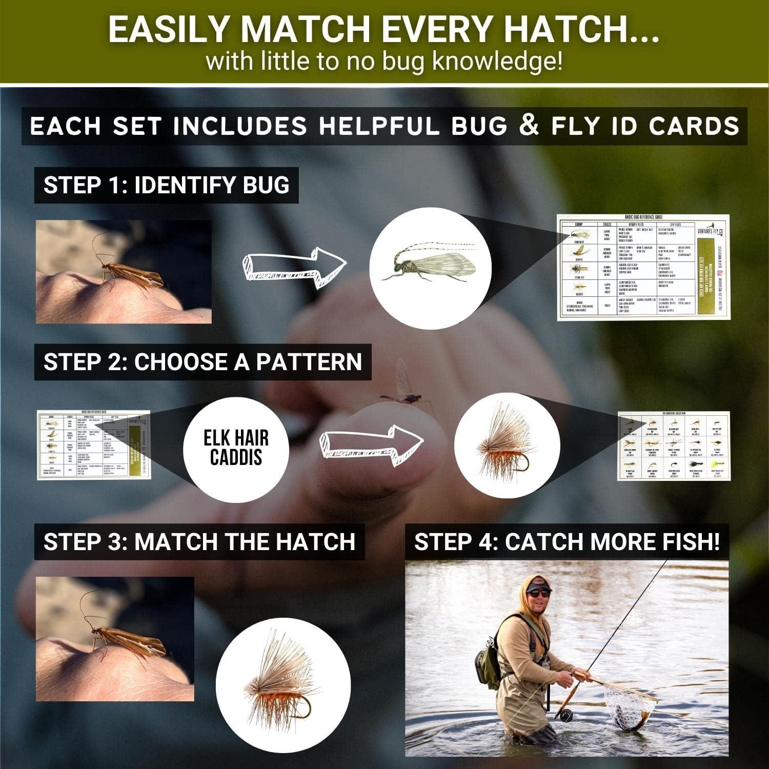 Simple Fly Control  Lure-Fly™ Fly Catchers