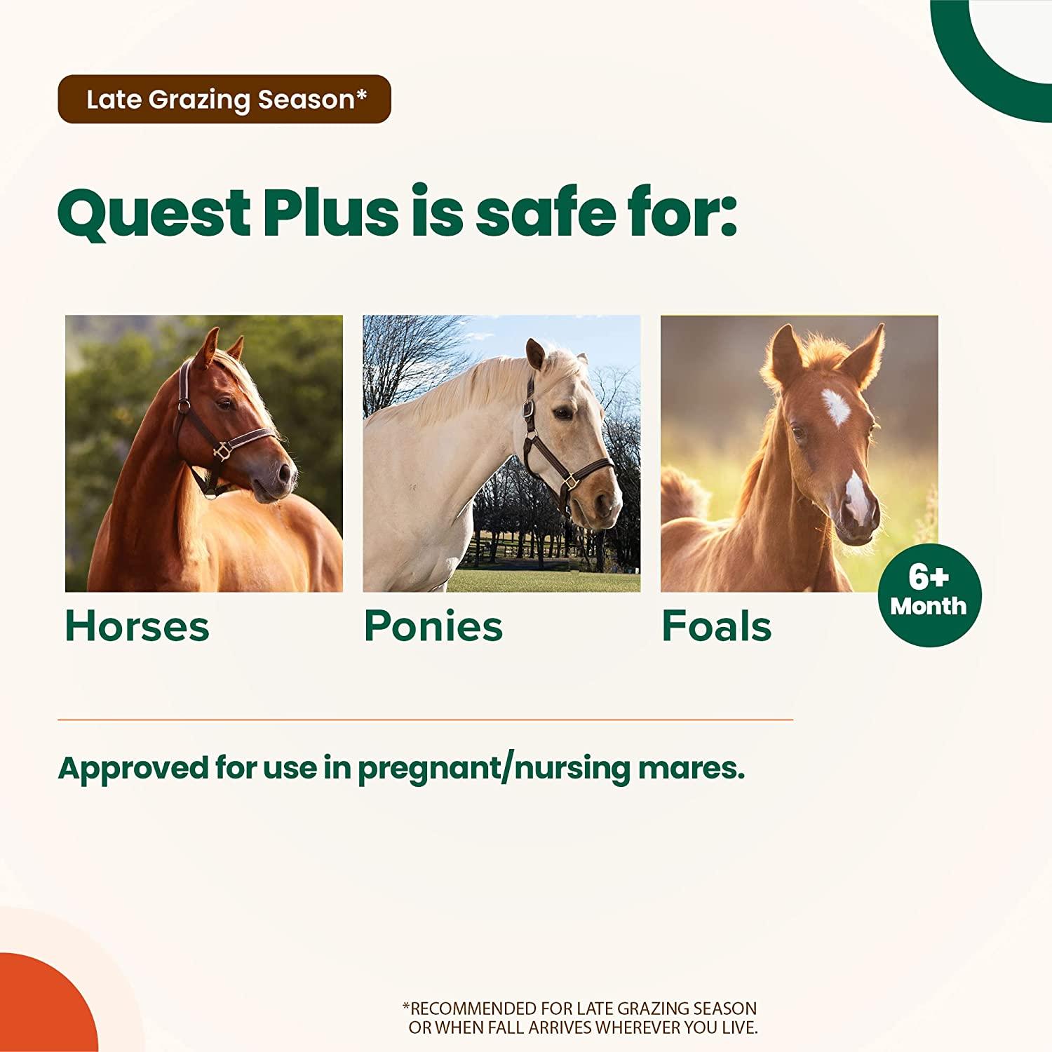 Quest Plus Gel Horse Dewormer for Horses and Ponies 6 Months+, 0.5oz