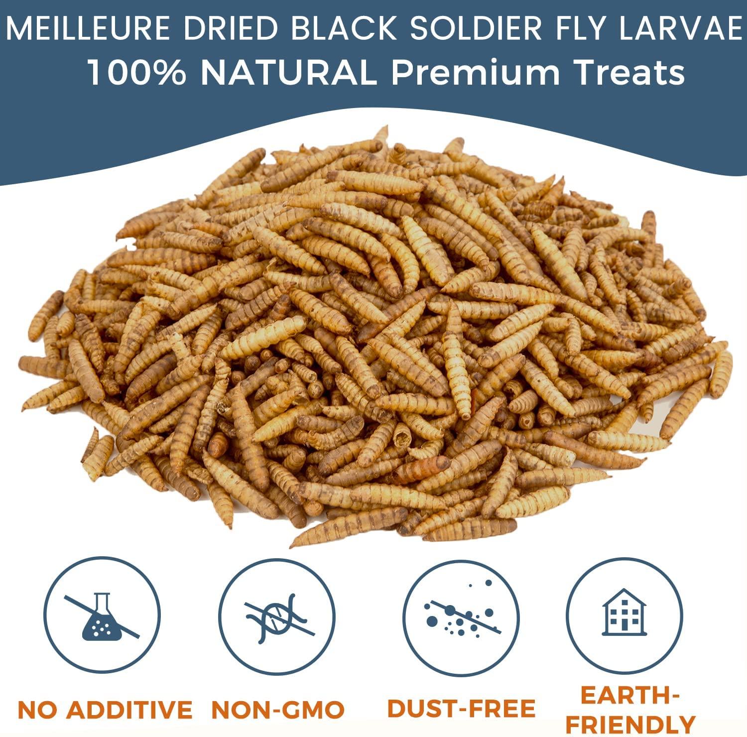 MEILLEURE Dried Black Soldier Fly Larvae for Chickens 5 LBS NonGMO