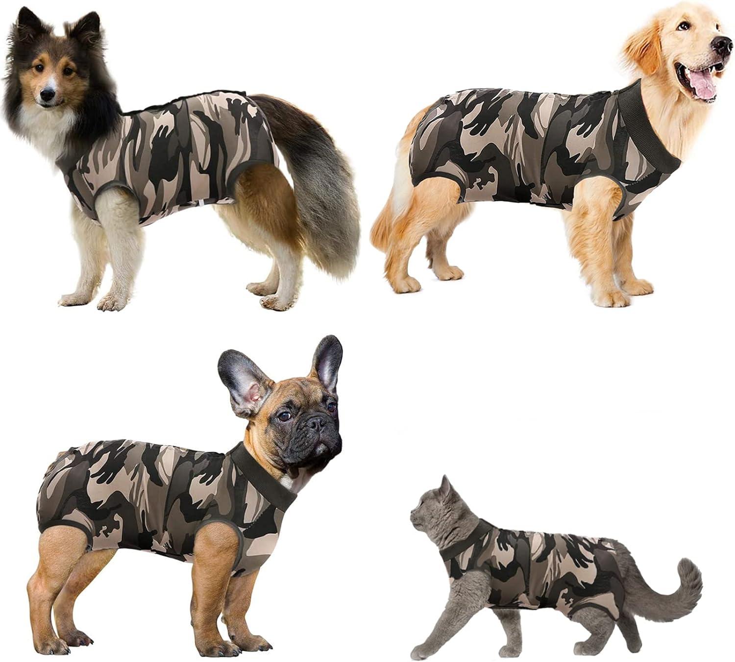 8-Quart Digital Air Fryer