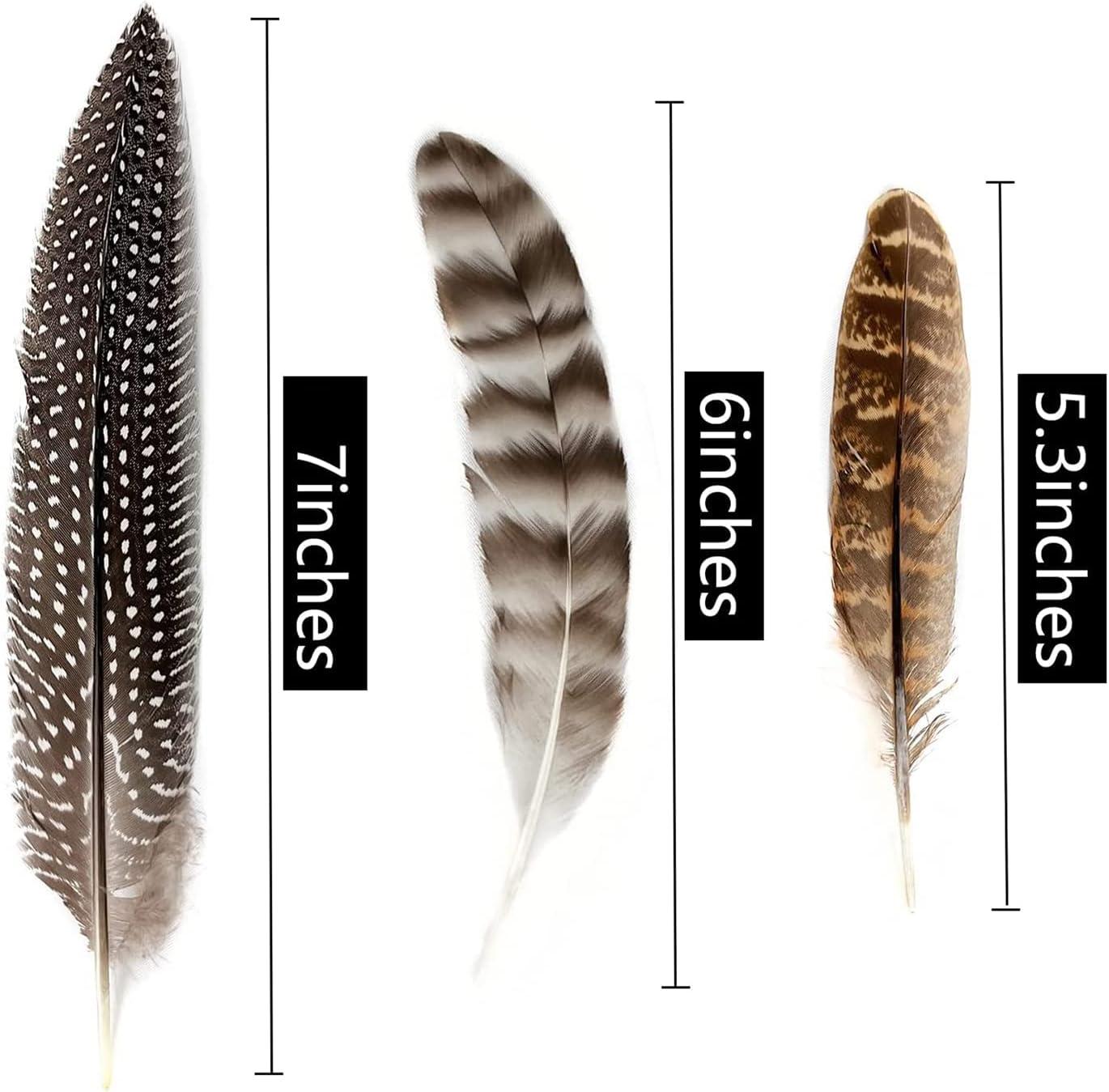 Natural Turkey Spotted Feathers 30Pcs Pheasant Feathers for Crafts DIY Hat  Floral Arrangements Wing Quill Wedding Home Party Decorations 6-8 inch(3  Styles) A Type