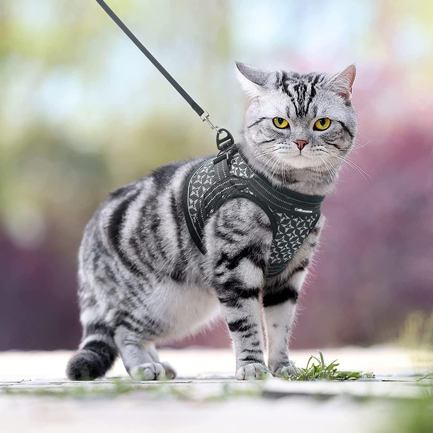 Cat chest harness sale
