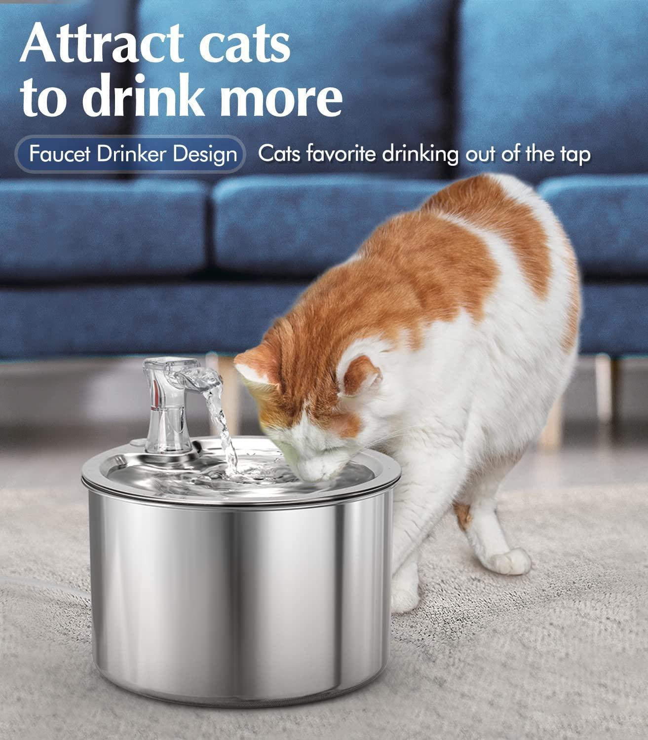 auto fill dog bowl water Auto-fill Pet Water Bowl