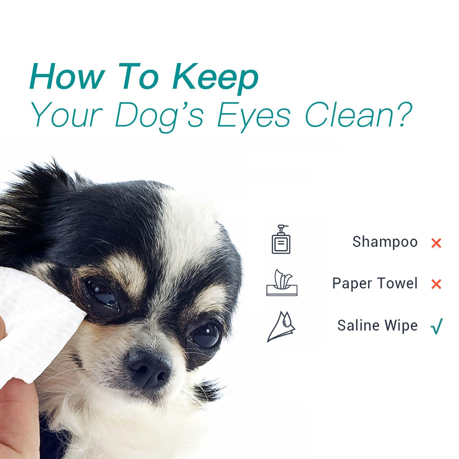 Can You Clean Dogs Eyes With Saline