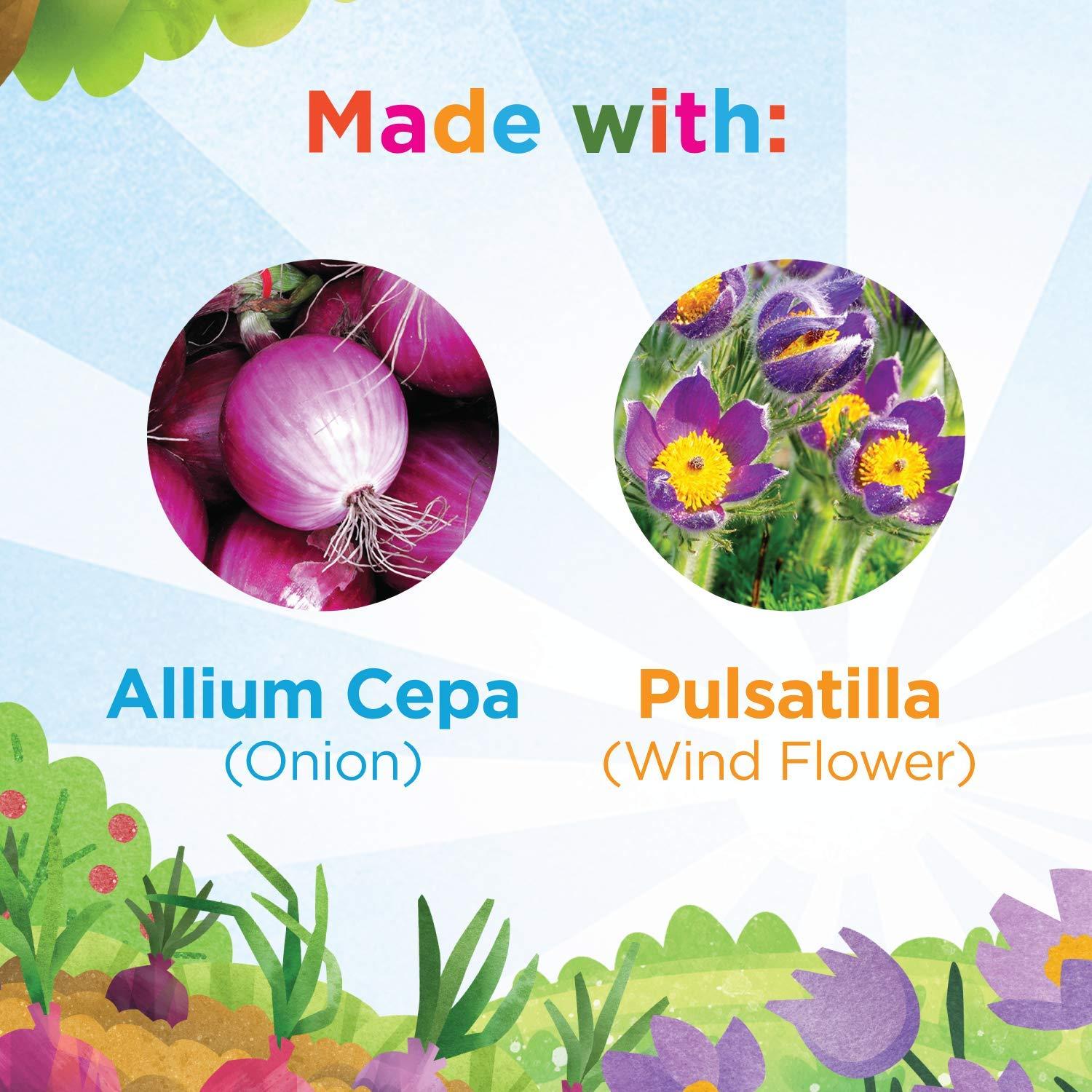 Hylands Cold Medicine for Kids 2+ Grape Flavor, Cough Relief