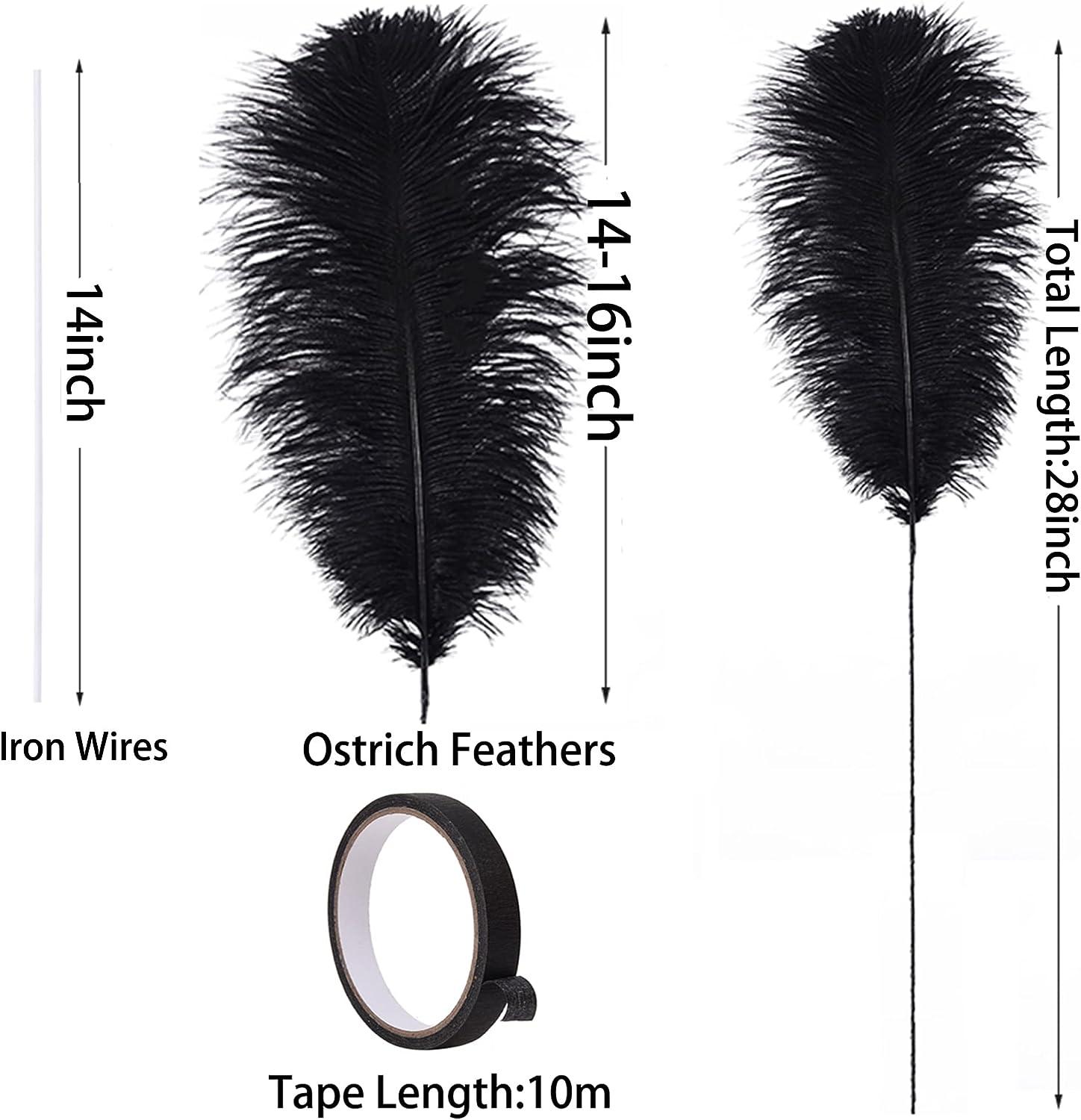 EVNNO 10 Pcs Natural Black Ostrich Feathers Making Kit,27-29 in Large  Ostrich Feathers Bulk for Wedd…See more EVNNO 10 Pcs Natural Black Ostrich