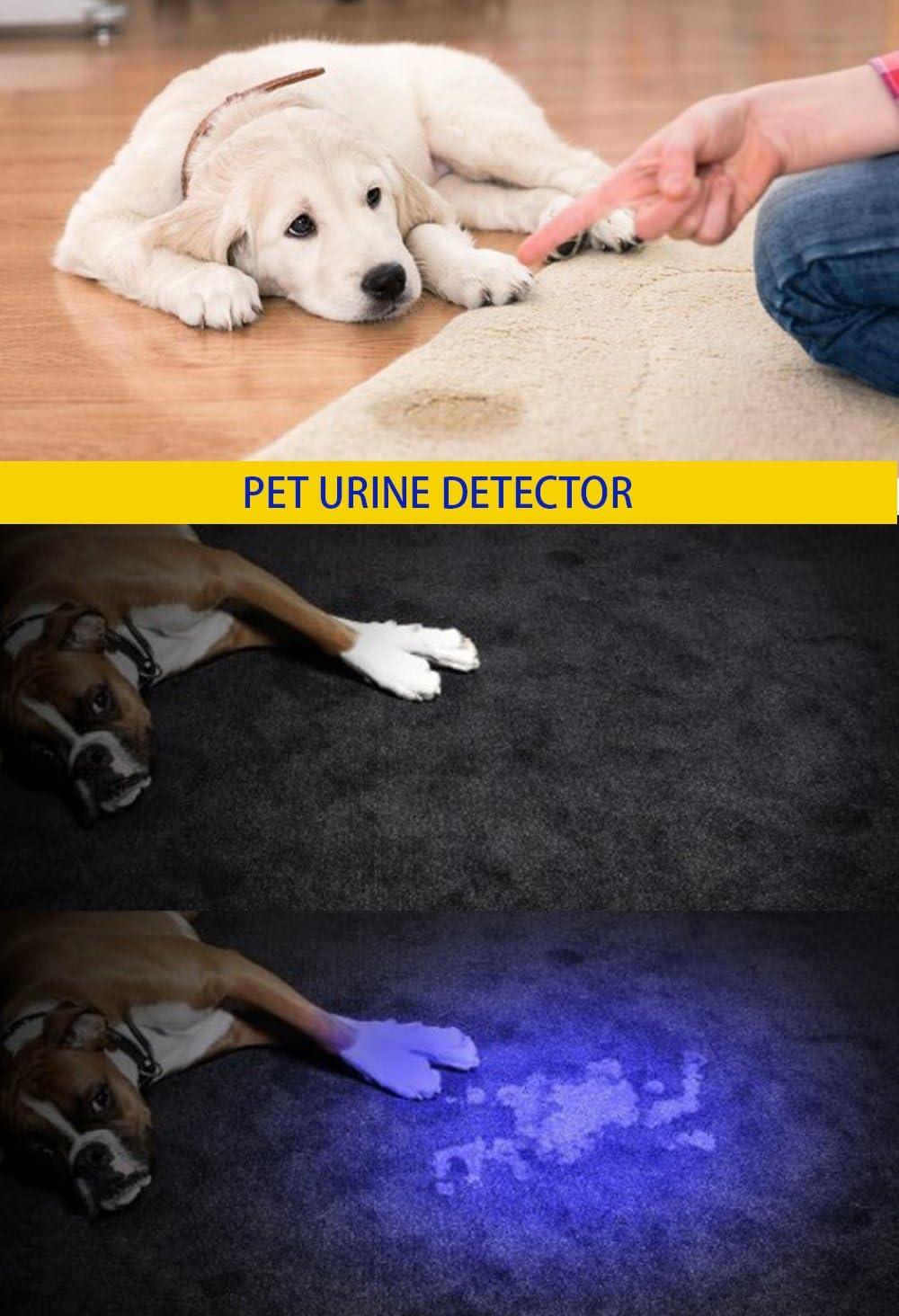 Uv Flashlight With 51 Led Bulbs, Led Torch, Dog/cat Urine Detector, Resin,  Fluorescent