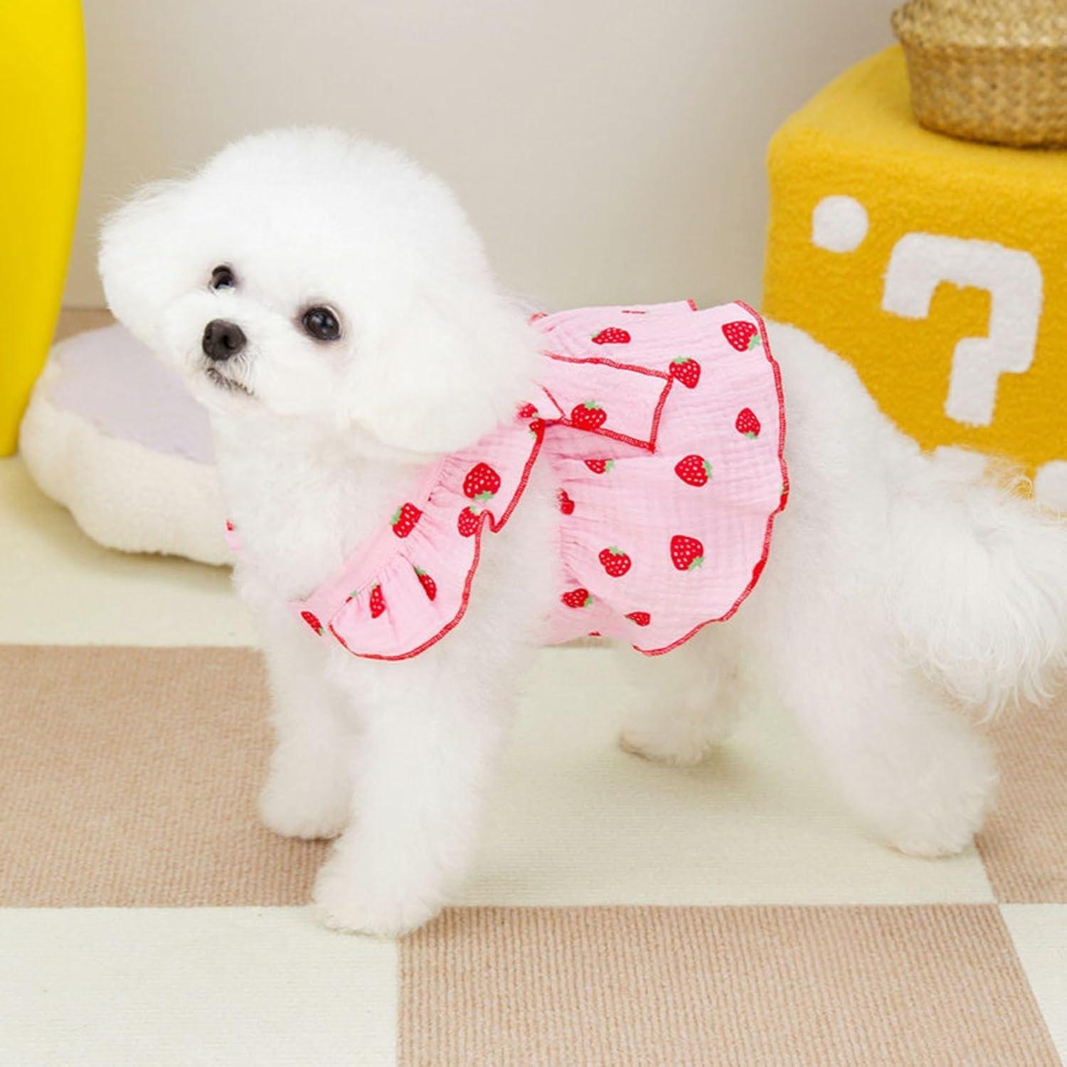 SMALL DOG - Green Oriental Dress