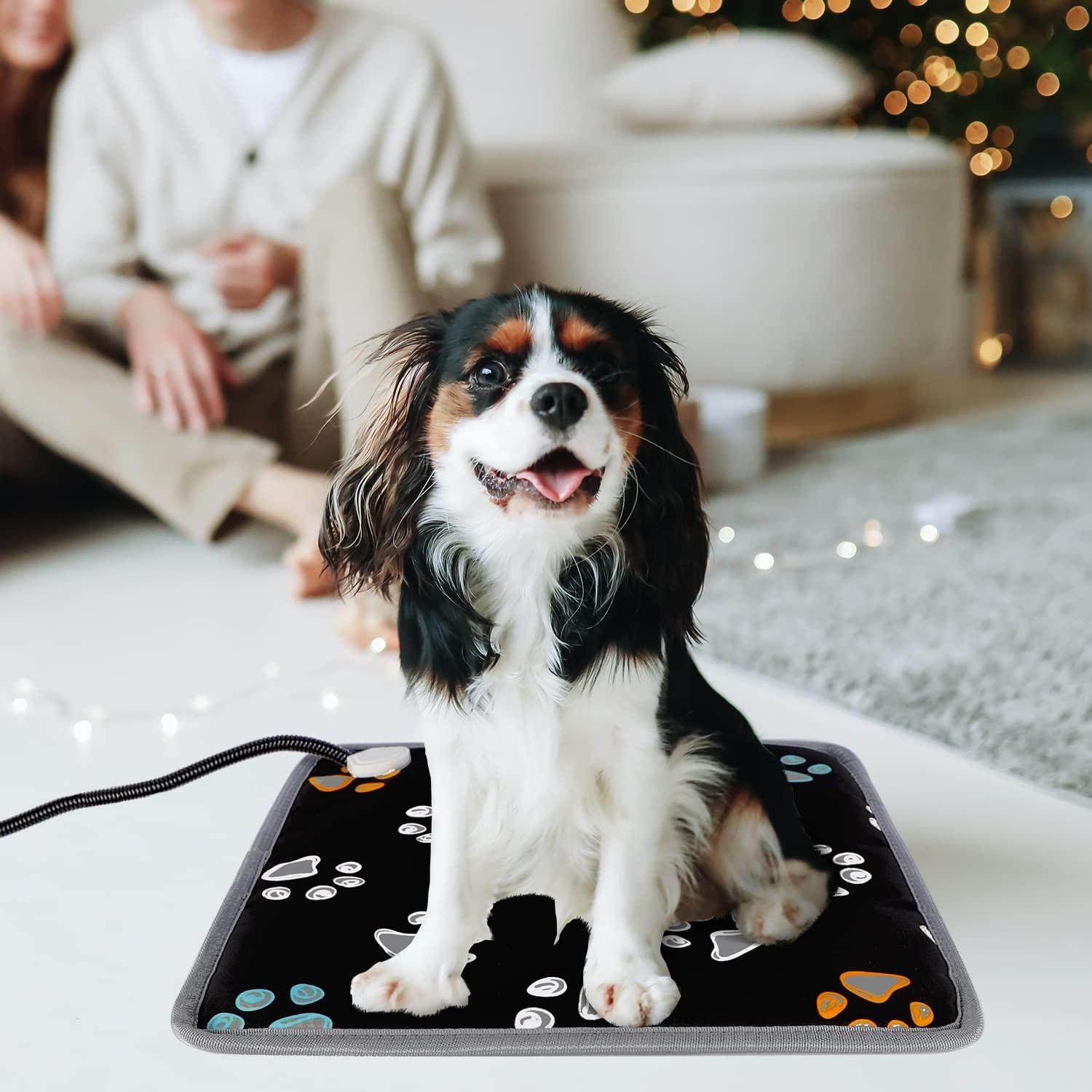 thumbnail image 2 of TEHAUX USB Heated Pet Pad For Reptile Pet Warmer Bed Pad 2 of 13