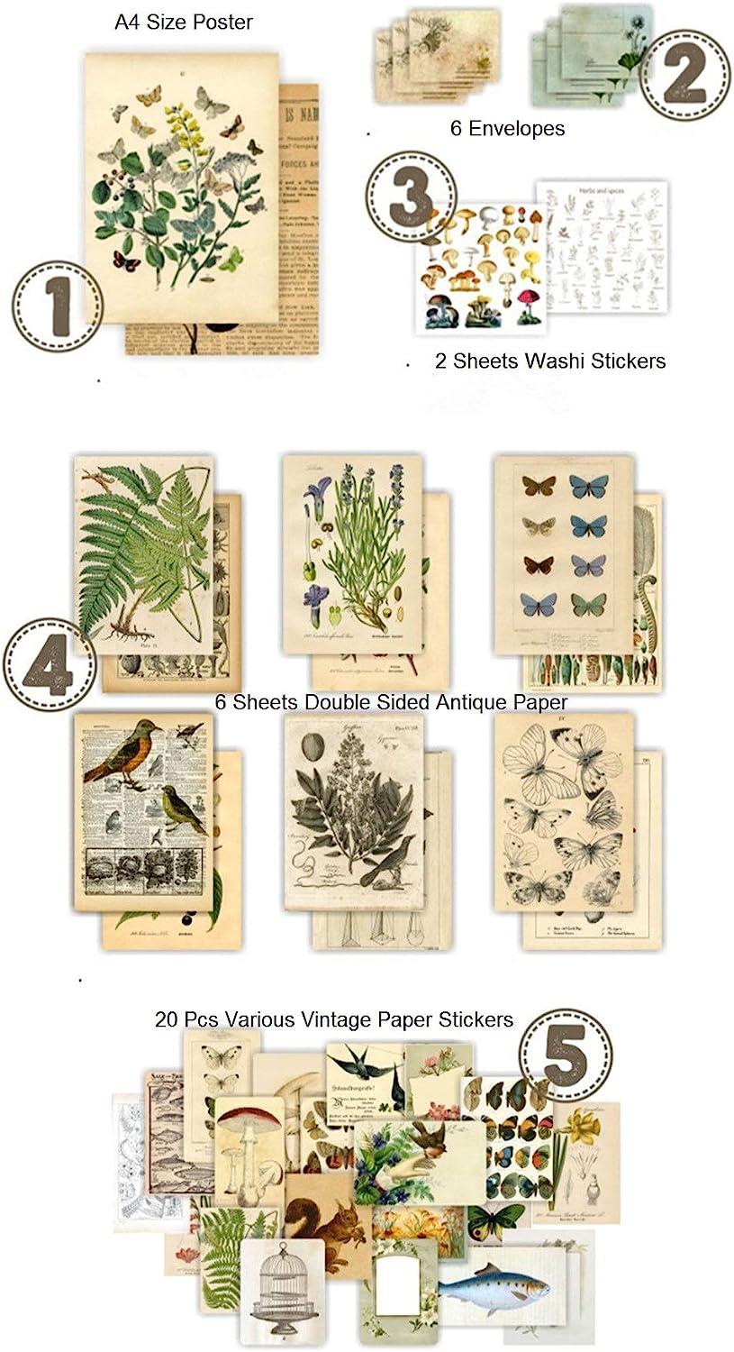 DESEACO Vintage Aesthetic Posters for Room Aesthetic Wall Decor Plant  Journal Green Room Decor for Teen Girls Botanical Wall Art in Nature  Journal Cute Journaling Supplies Aesthetic Collage Kit