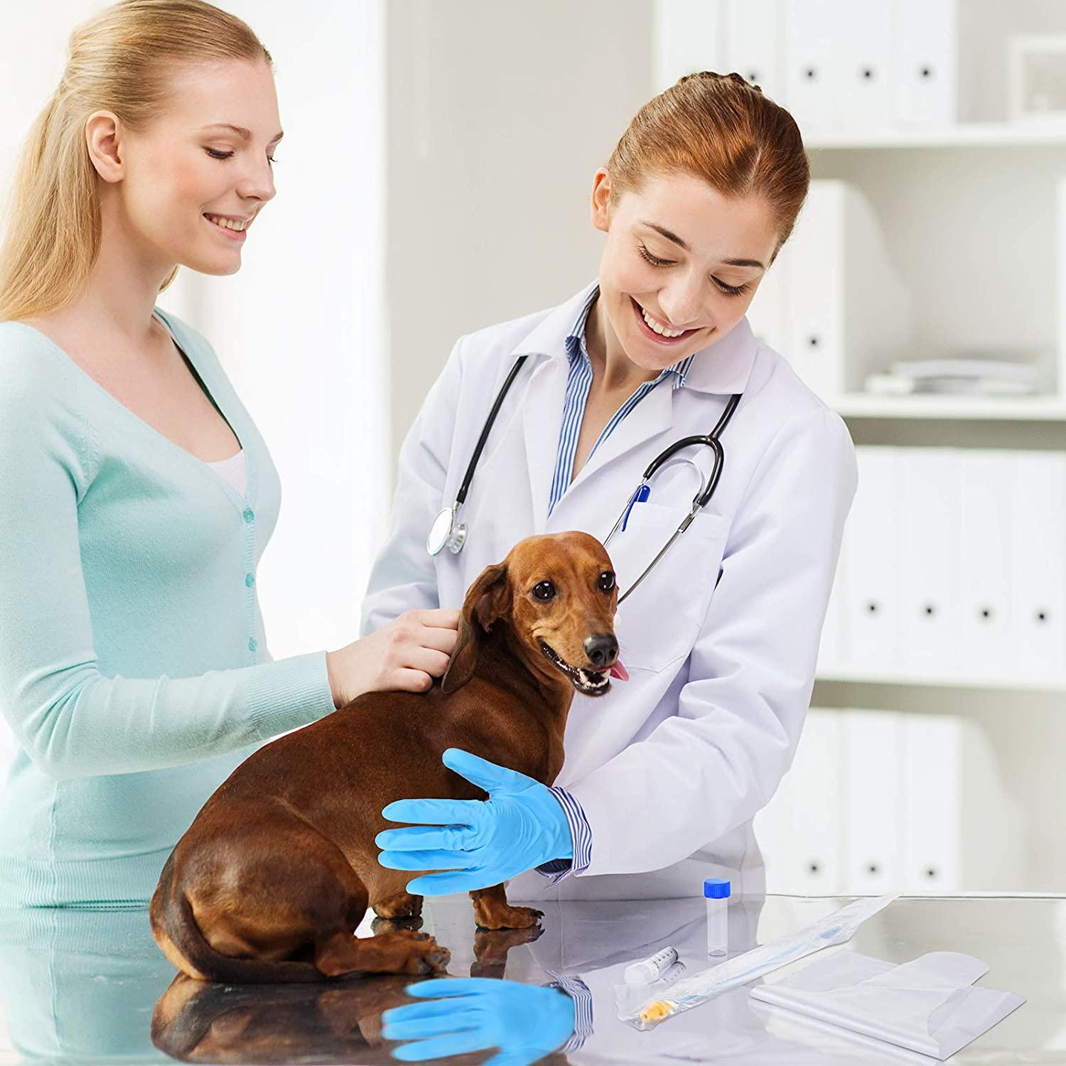 10 Set Artificial Insemination Dog Breeding Kit Canine Breeding Kit