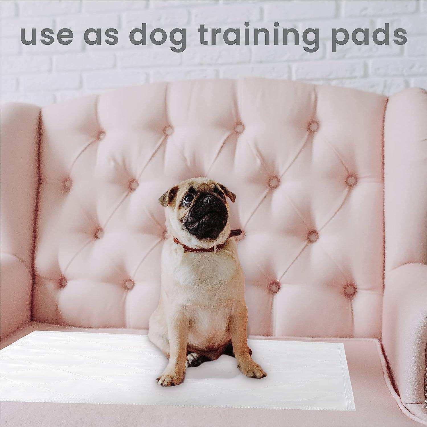 Washable incontinence pads for dogs clearance