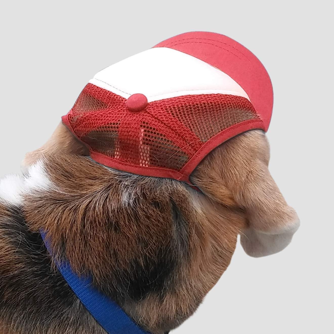 Stylish outlet dog hats