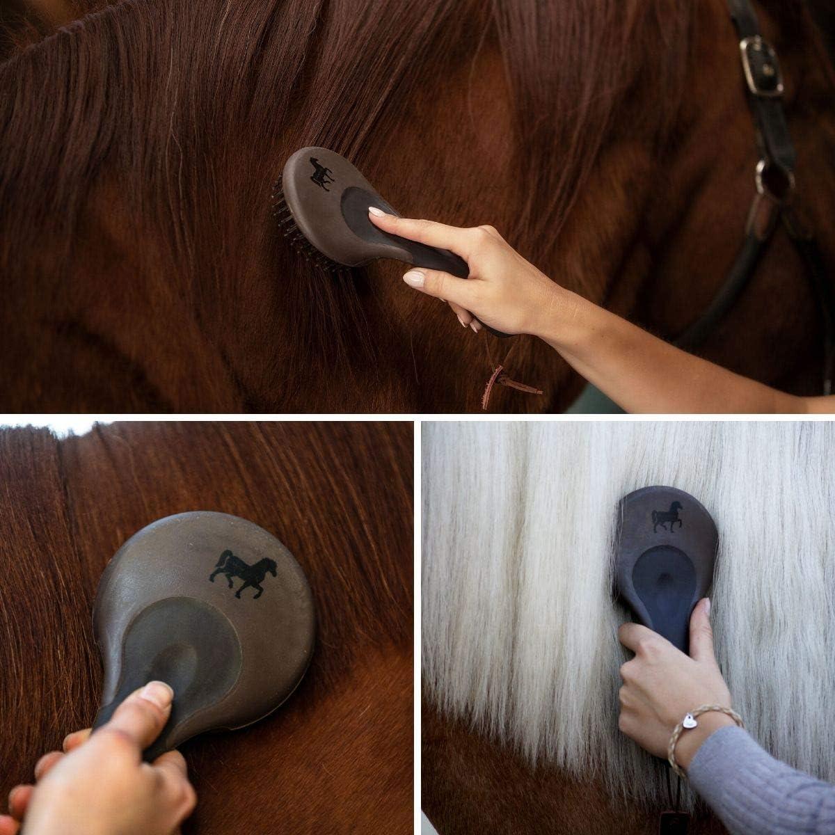 Brosse à Crins Et Queue De Cheval – Manche Ergonomique – Neuf