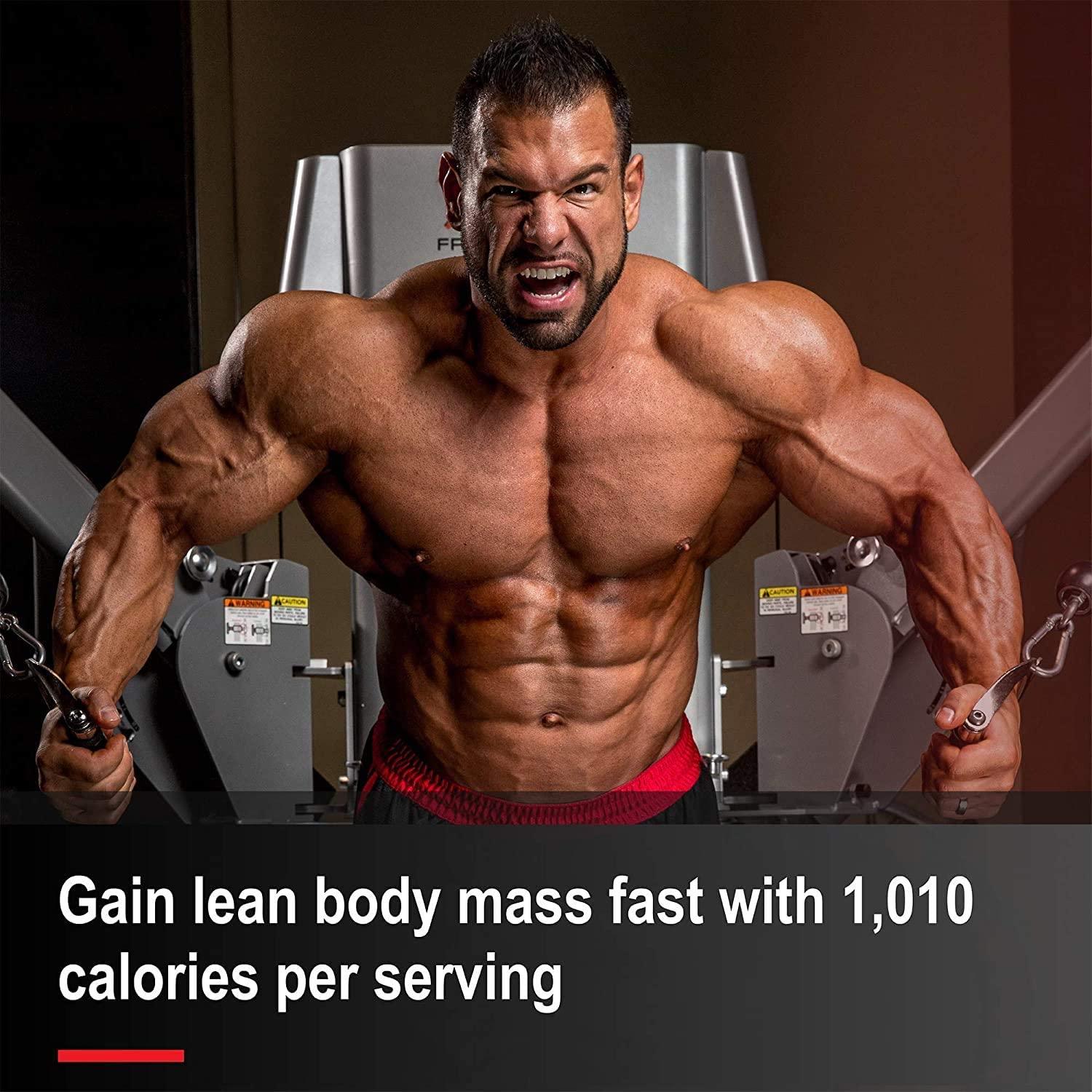 Allmax Nutrition Quickmass Vanilla 12 Lbs Rapid Mass Gain Catalyst