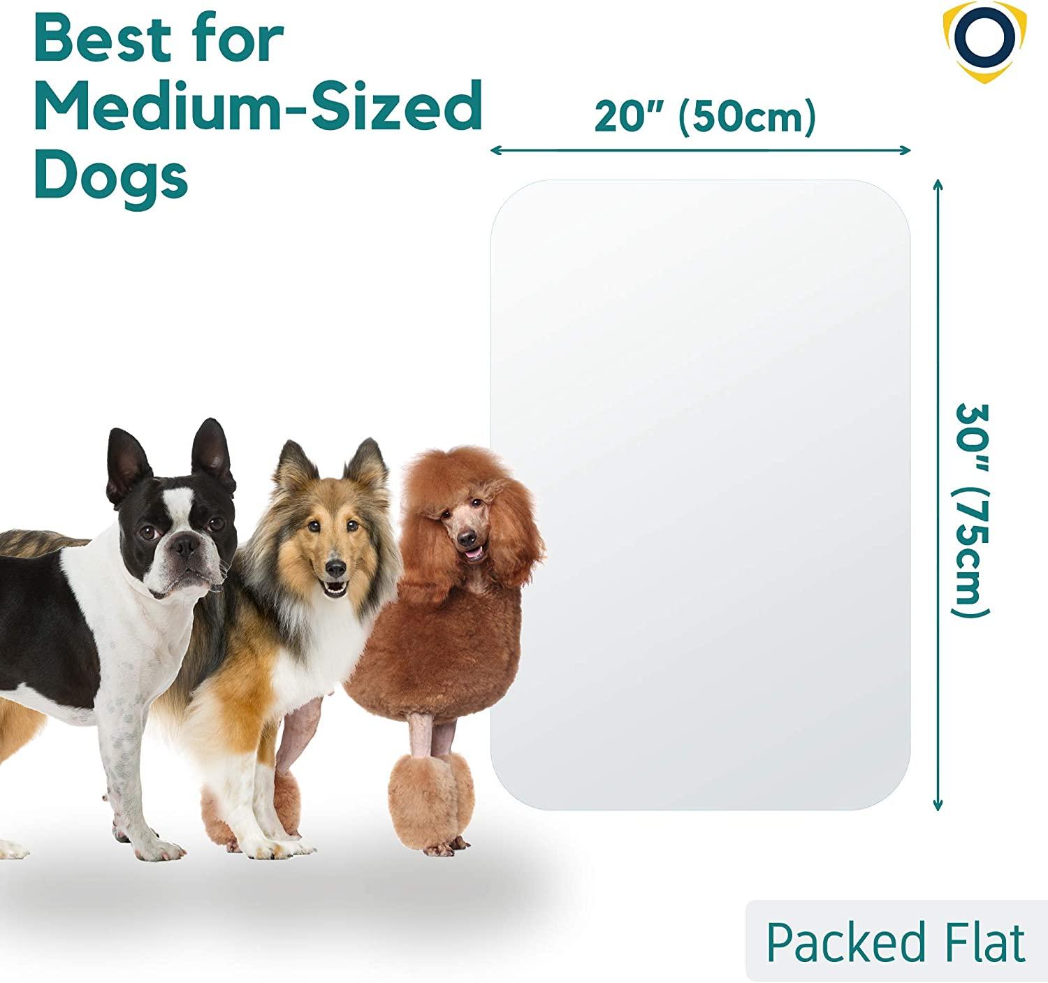 thumbnail image 2 of FTSTC Upgraded Heavy Duty Shield, Anti Claw Guard For Dog & Cat Scratching, Vinyl 2 of 11