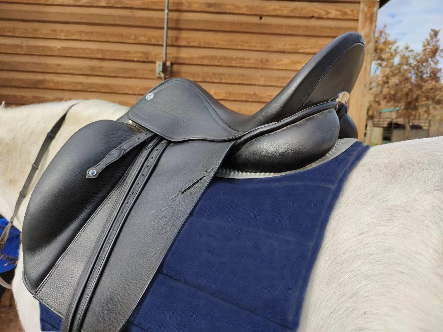 ROYAL HOUSE 1216 AntiSlip Gel pad for Horse Saddle Gel Saddle pad