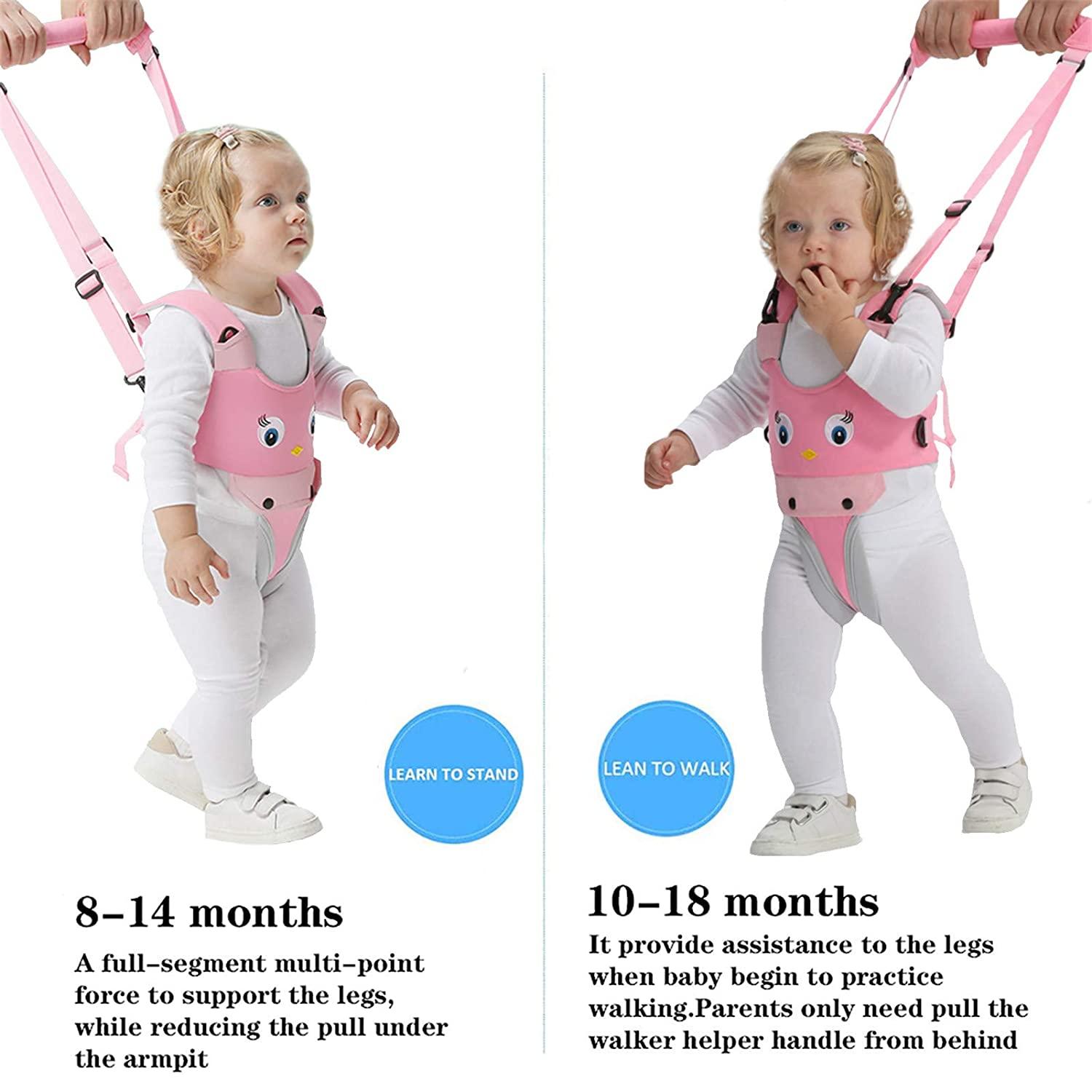 10 Month How Old When Babies Pull Themselves Up Early Walking Do