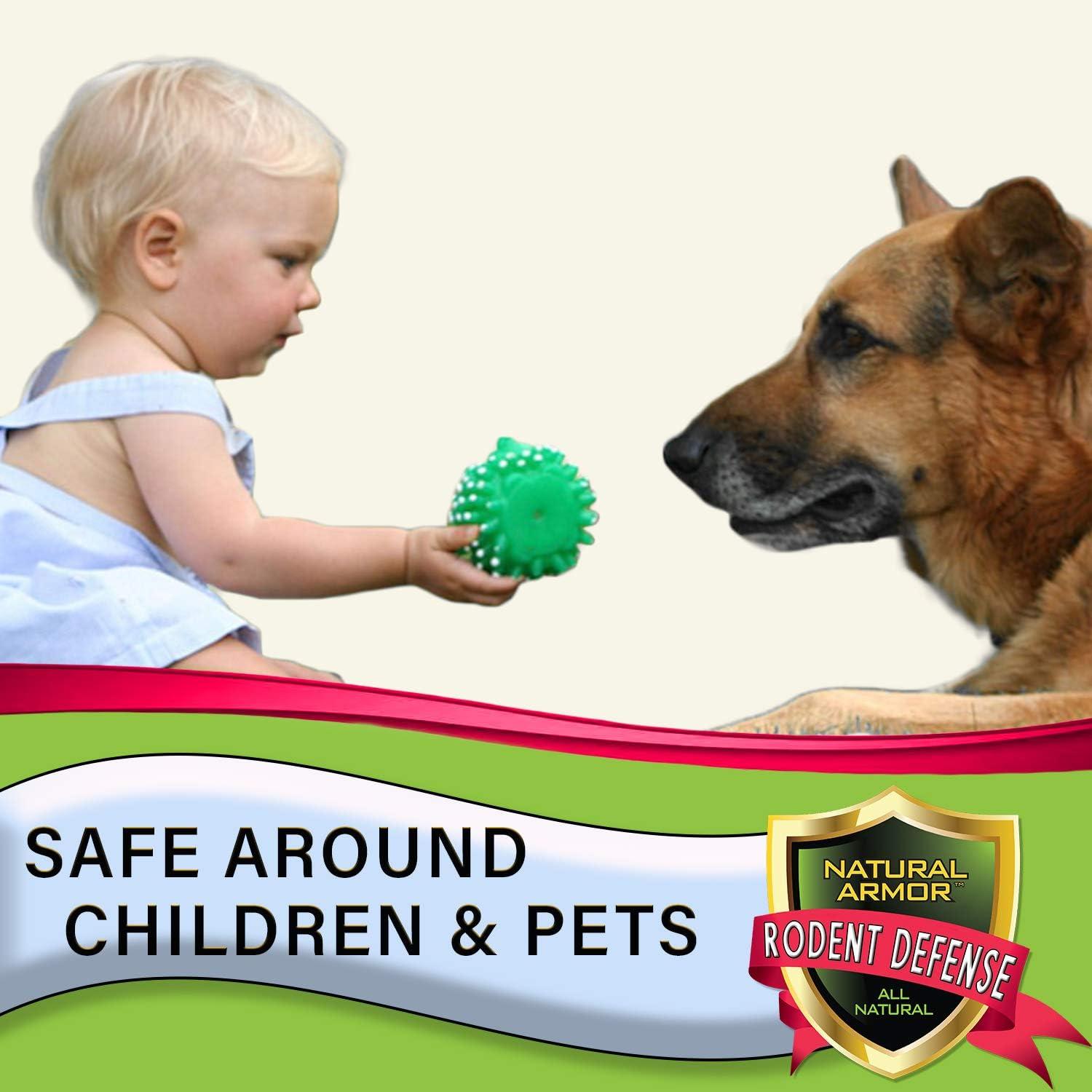 Peppermint Repellent for Mice/Mouse Rats & Rodents. Natural Spray for ...