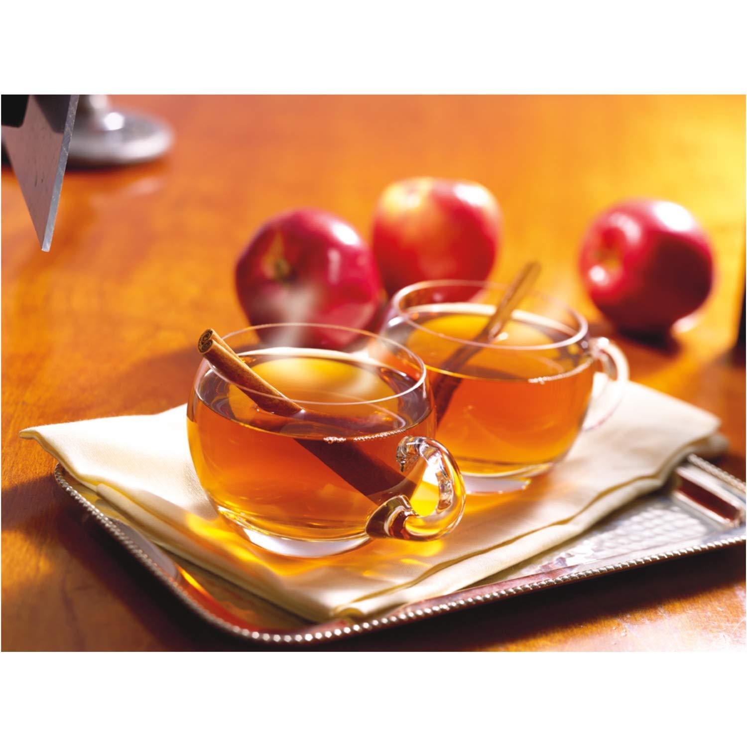 Alpine SugarFree Spiced Apple Cider Mix Pack of 2