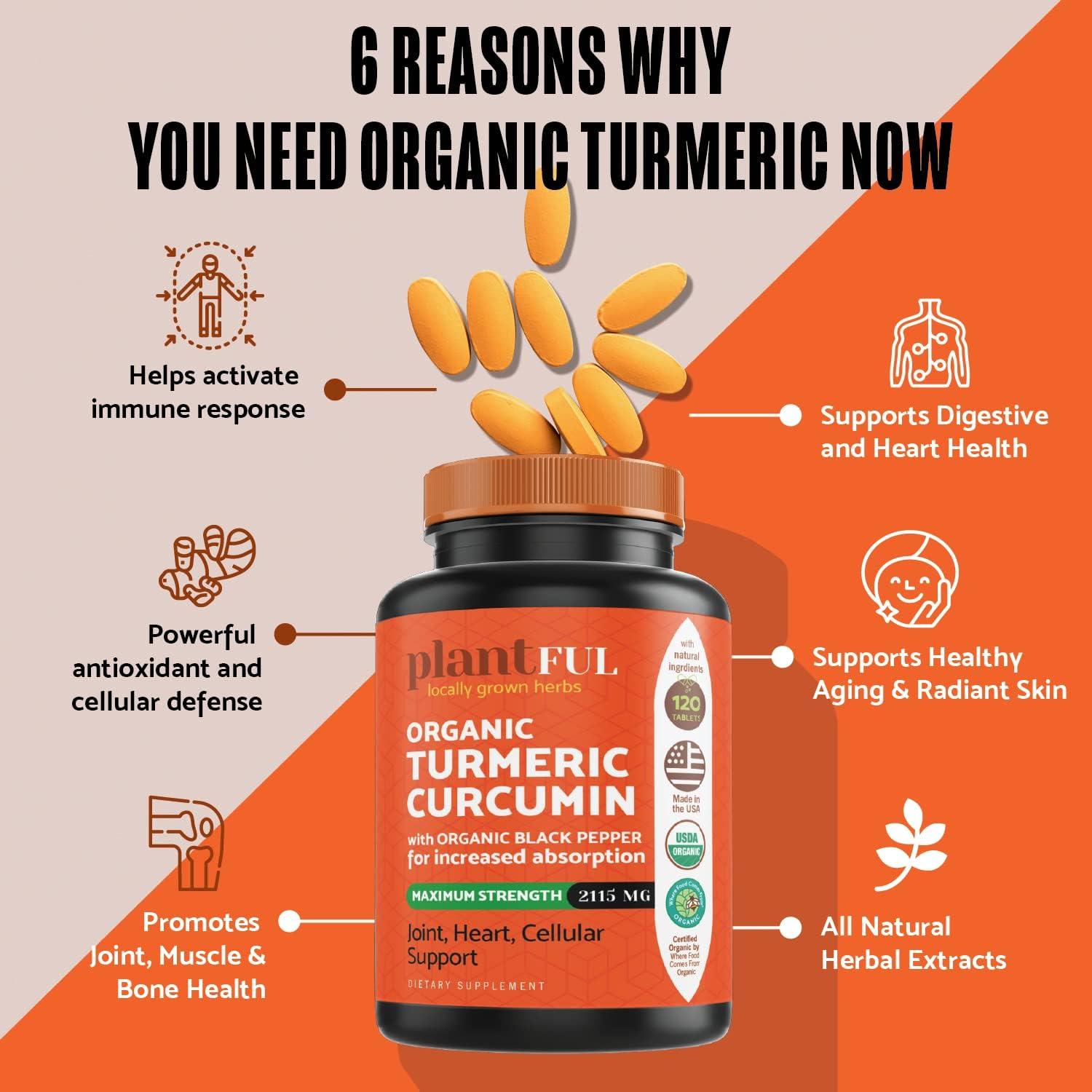 Organic Turmeric Supplement with Black Pepper Highest Potency USDA Certified NonGMO Organic