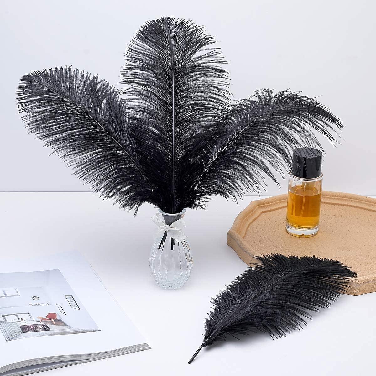 EVNNO Evnno 10 Pcs Natural Black Ostrich Feathers Making Kit,27-29