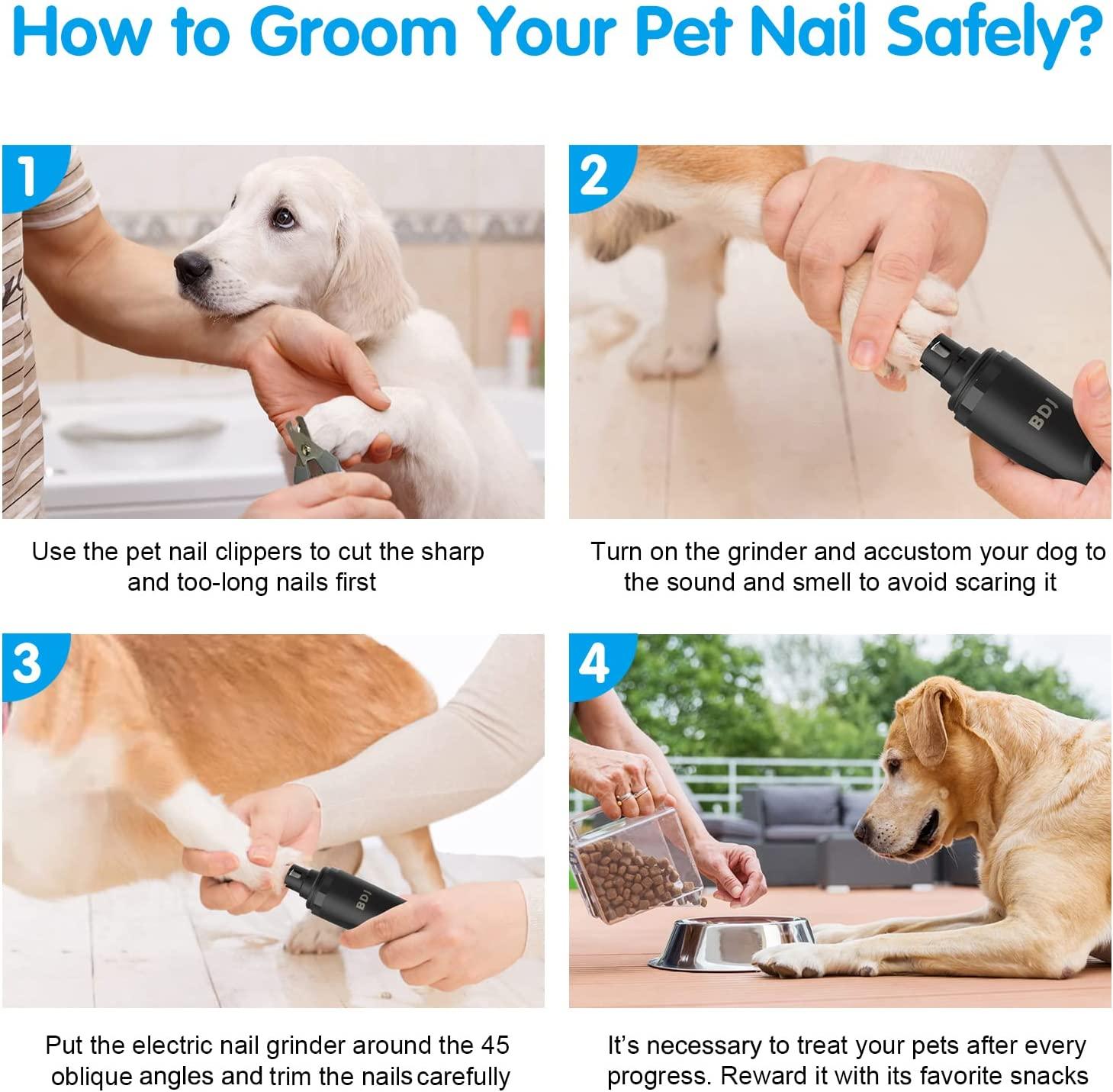 The 5 Best Pet Nail Grinders of 2023, Tested and Reviewed