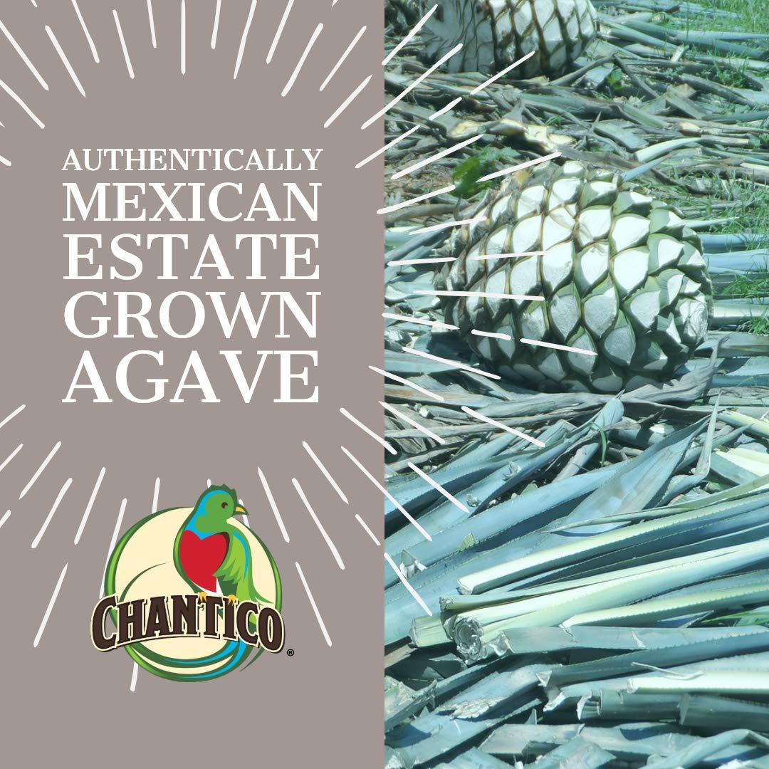 Chantico Agave Sweetener (Wild Agave, 3 Pack of 11.75oz Bottles