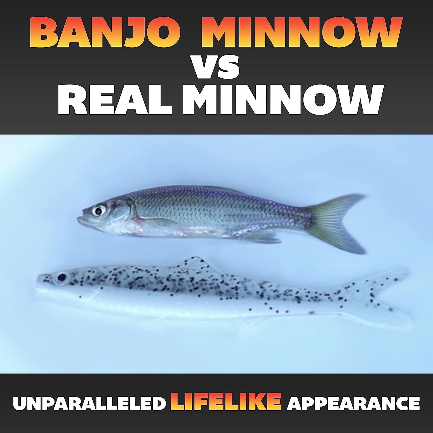 Banjo Minnow 102 Piece Kit + Lifelike Lure for All Fish + Durable
