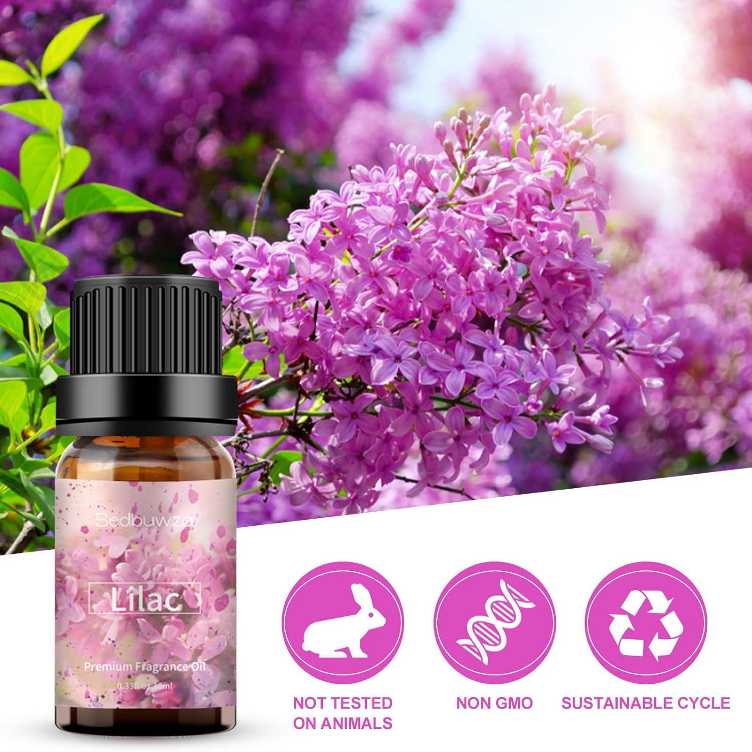 Sedbuwza Lilac Essential Oil Lilac Fragrance Oil for Diffuser Humidifier  Soap Candle Perfume - 10ML Lilac 0.33 Fl Oz (Pack of 1)