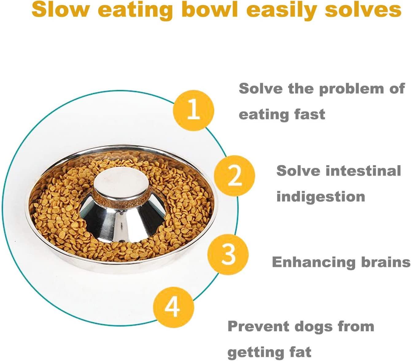 Puppies circling food cheap bowl