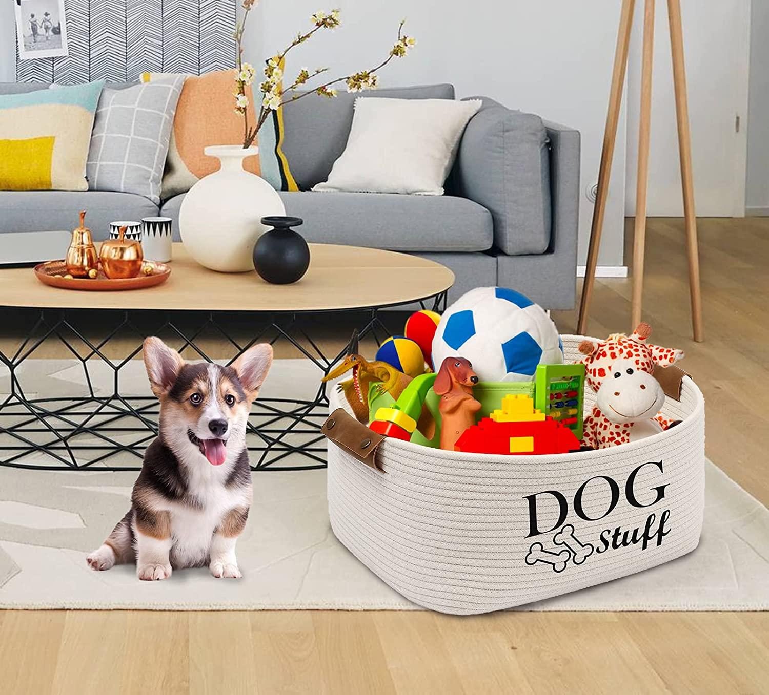 Custom Modern Dog Toy Storage Box