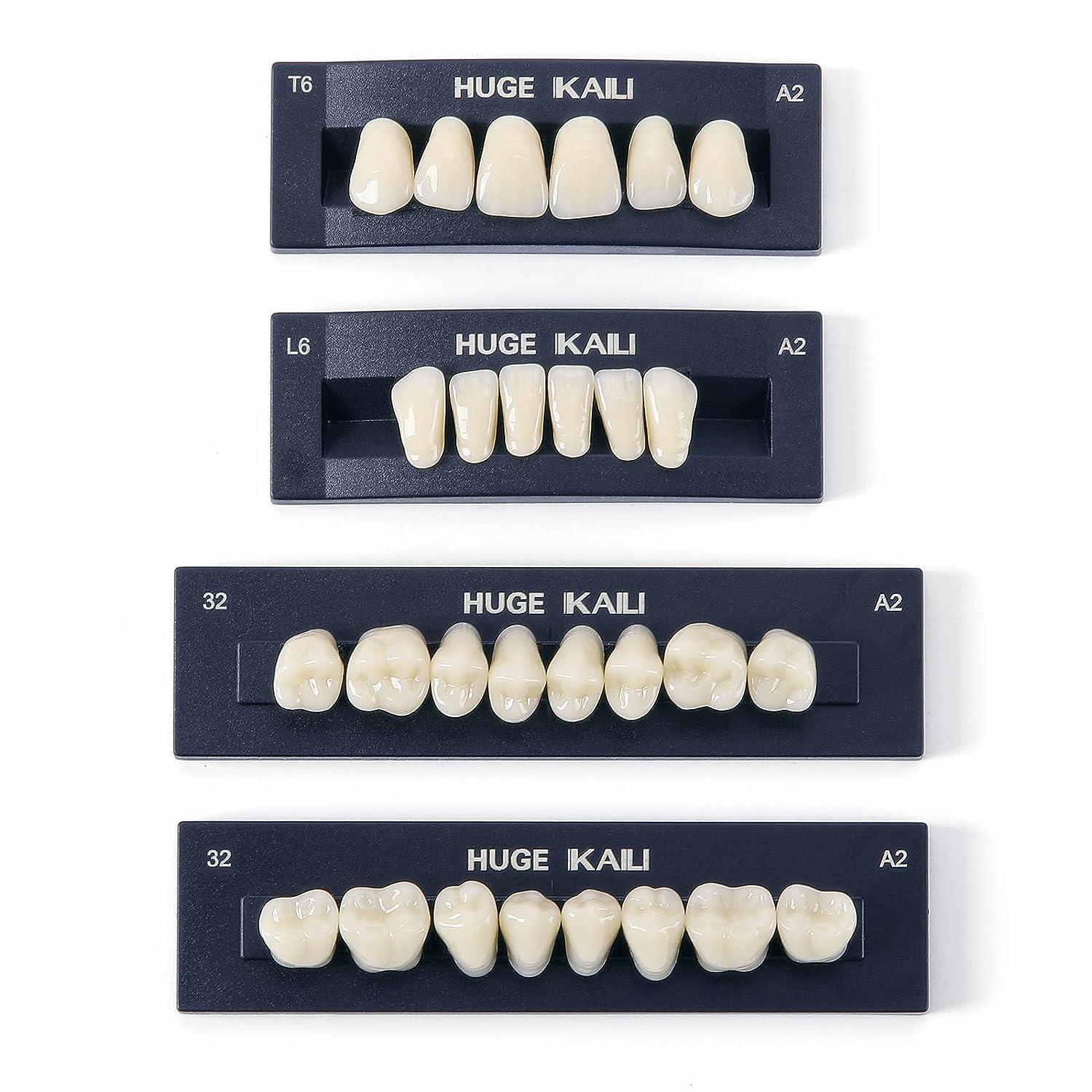 JMU Dental Acrylic Resin Denture Teeth 28Pcs/Set