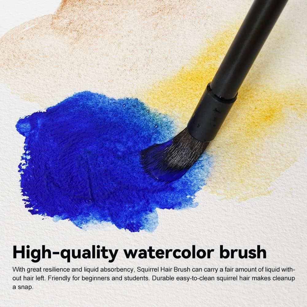 LIGHTWISH Watercolor Brushes Paint Brushes Mop Round Paintbrush