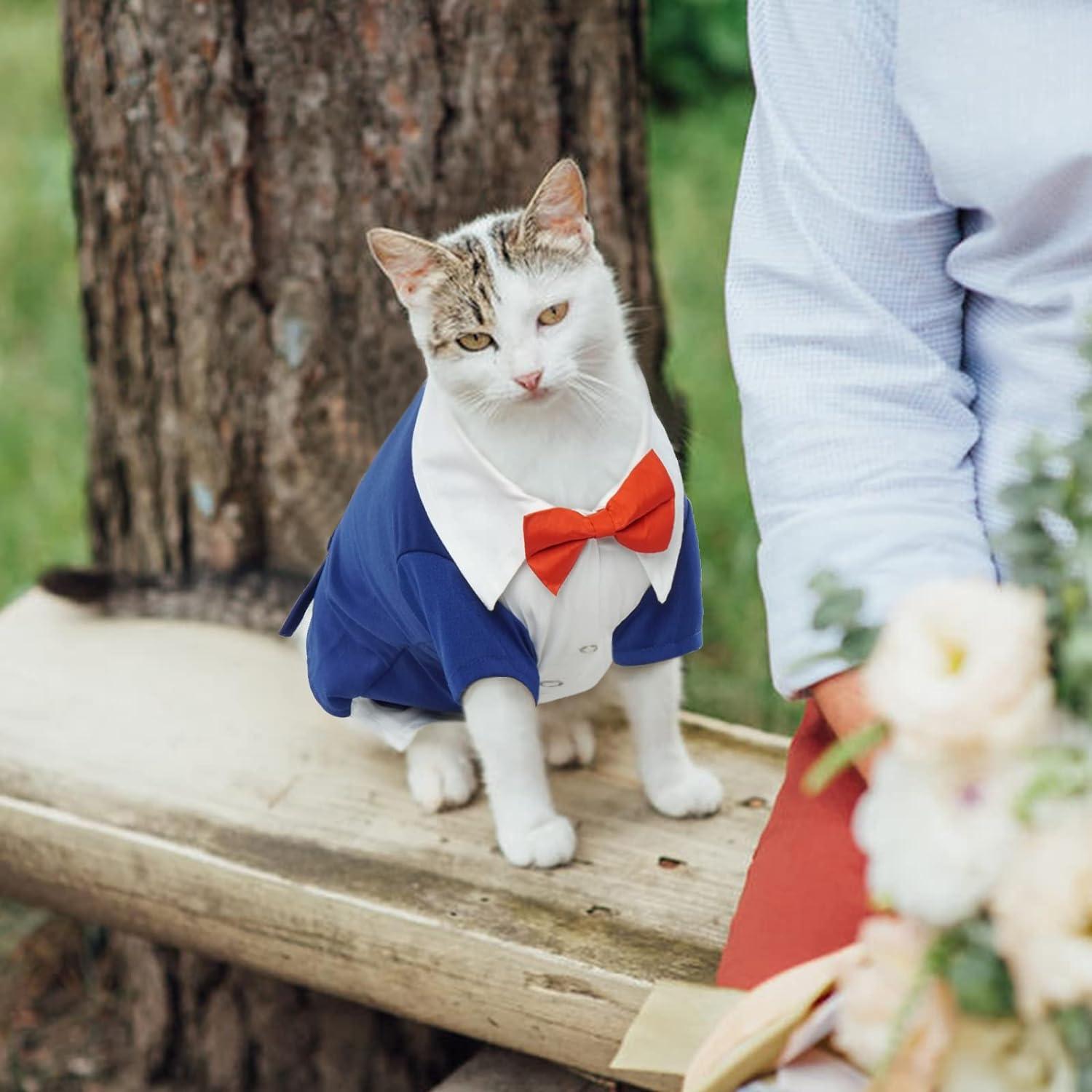 Hjyokuso Cat Tuxedo Wedding Outfit with Bow Ties | Formal Suit & Dresses for Sphynx & Rex Breeds | Small Blue Hjyokuso Cat Tuxedo Wedding Outfit with Bow Ties | Formal Suit & Dresses for Sphynx & Rex Breeds | Small Blue