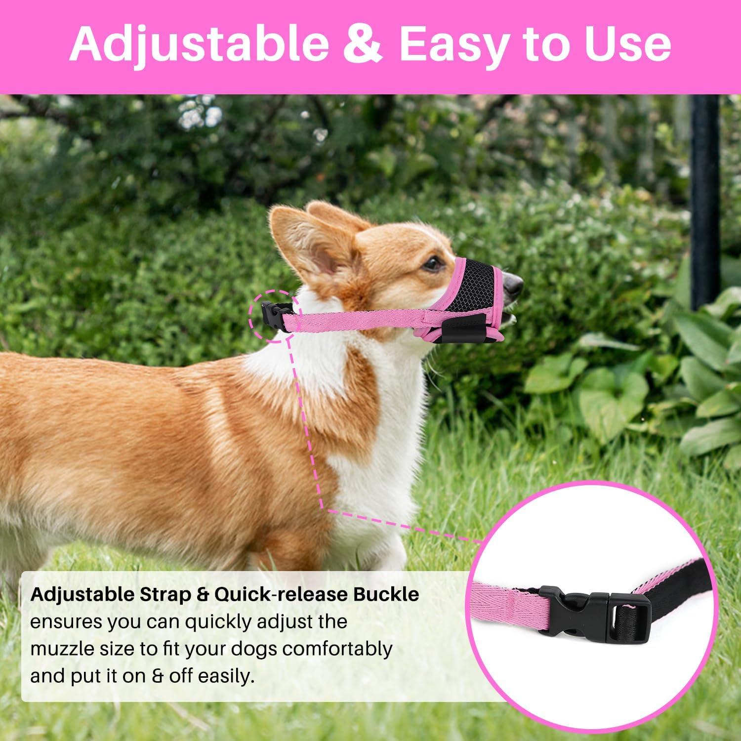 Dog Bite Should I Use A Muzzle On My Dog My Dog Using A Muzzle To