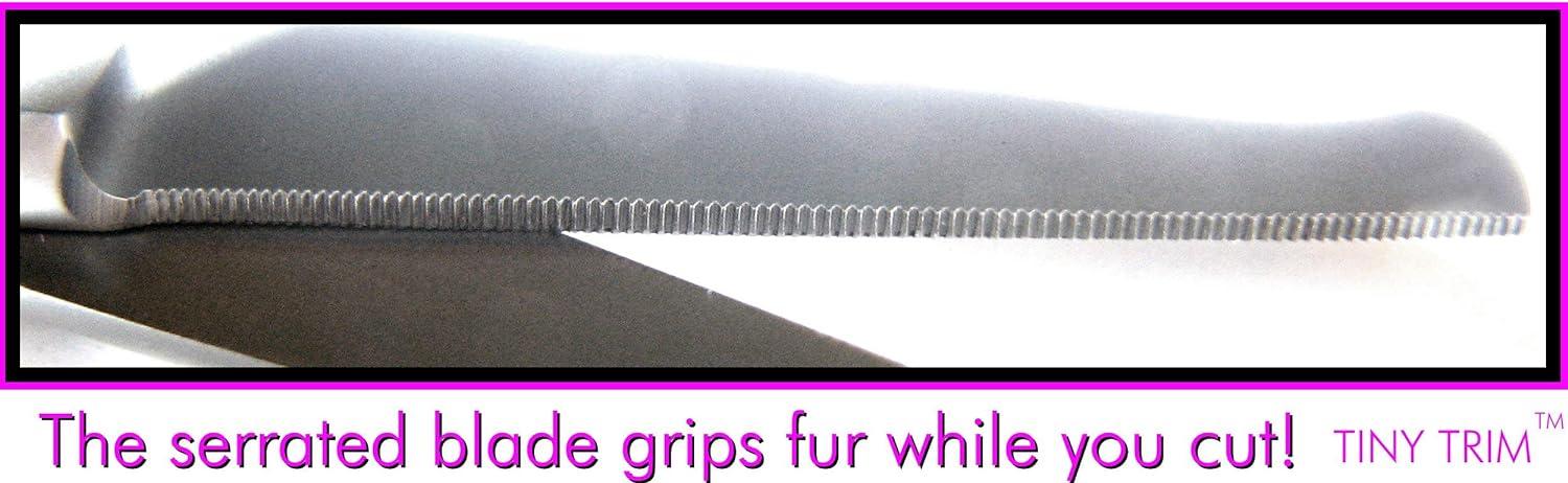 Step-by-step Instructions for Trimming Your Dog's Facial Hair