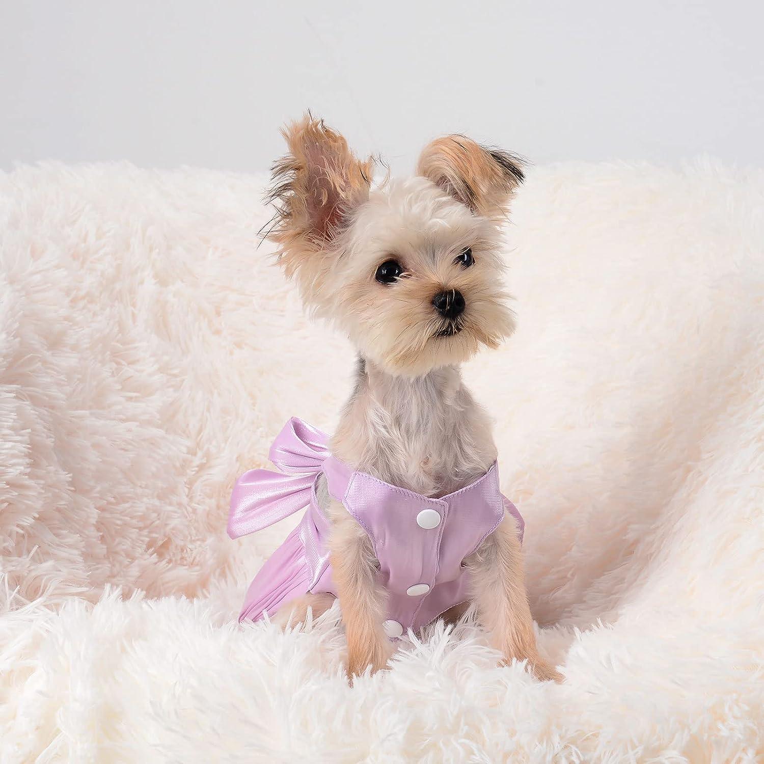 Dog Collar for Small Dogs - Special Design Puppy Collar Cute Small Girl Dog  Fema