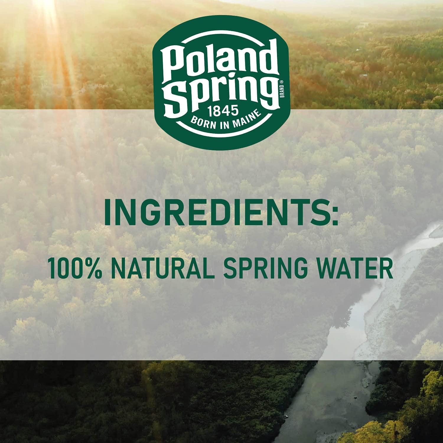 Poland Spring, Spring Water, 1 Gallon Jug 128 Fl Oz (Pack of 1)