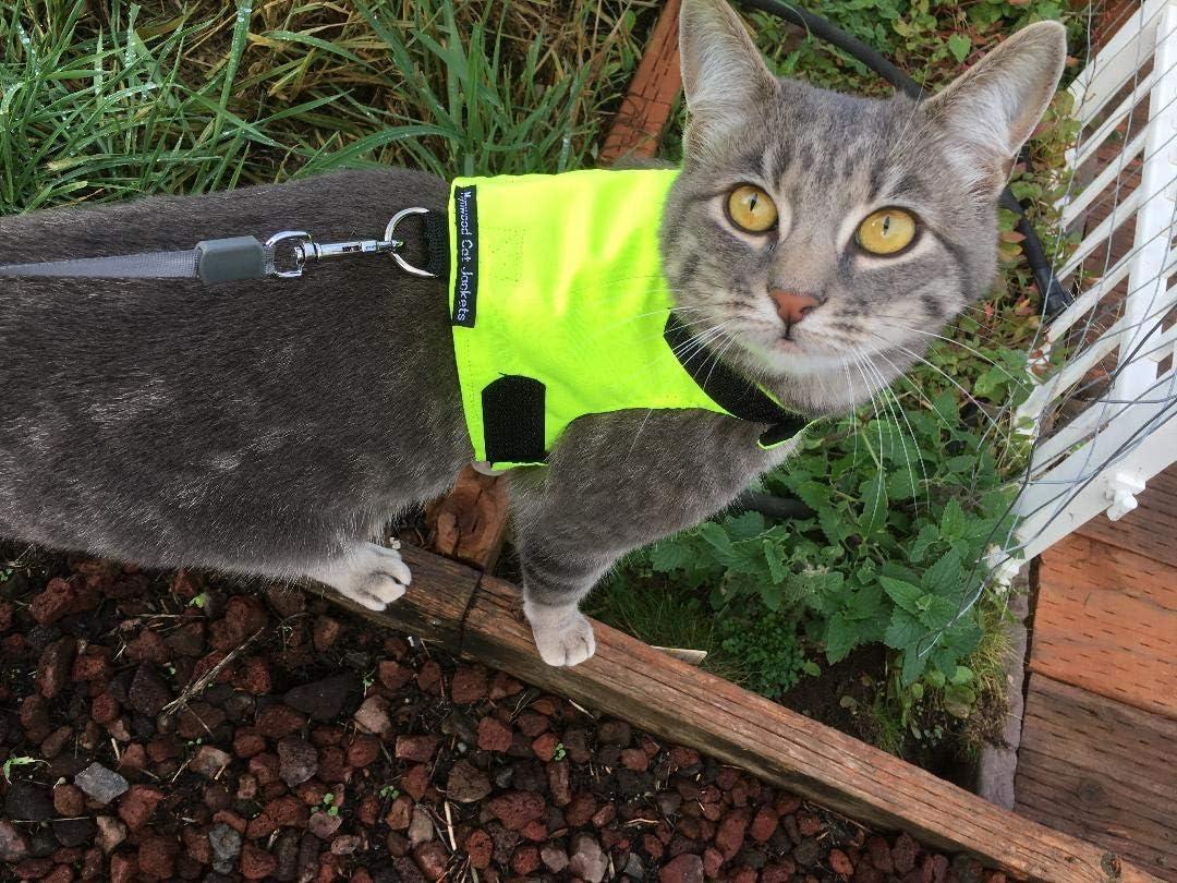 Mynwood Cat Jacket/Harness High Viz Adult Cat
