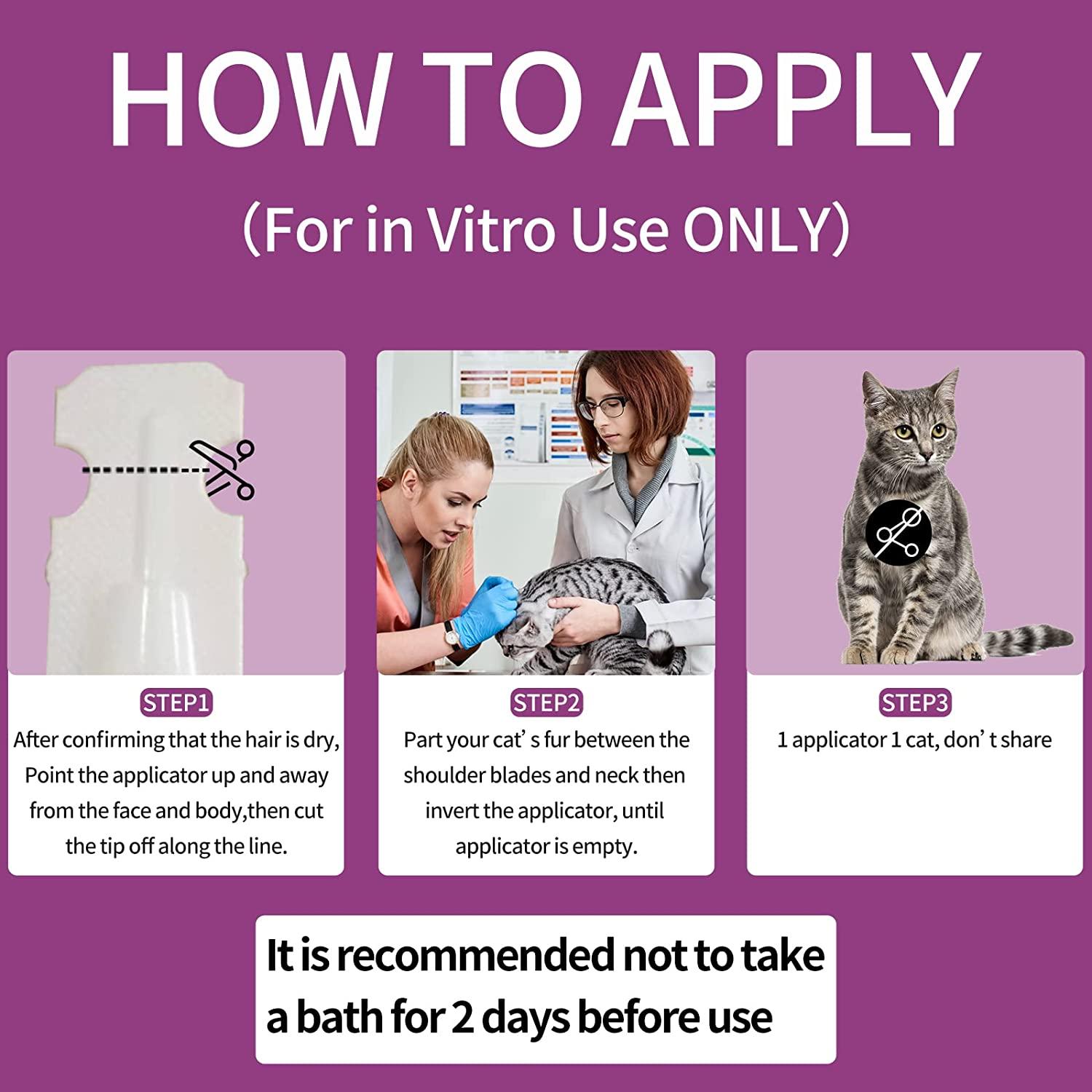 Flea and Tick Prevention for Cats, Cat Flea & Tick Control with