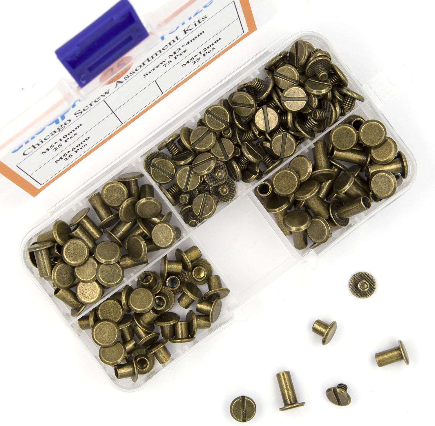  ALLOYGOLD Bronze Chicago Screws Leather Rivets Assorted ，8  Sizes of Screw Rivets Chicago Screws for Decorate and Repair Leather Craft  Belt Bag Shoes Purse Bookbinding (M5*4,5,6,7,8,9,10,12) : Industrial &  Scientific
