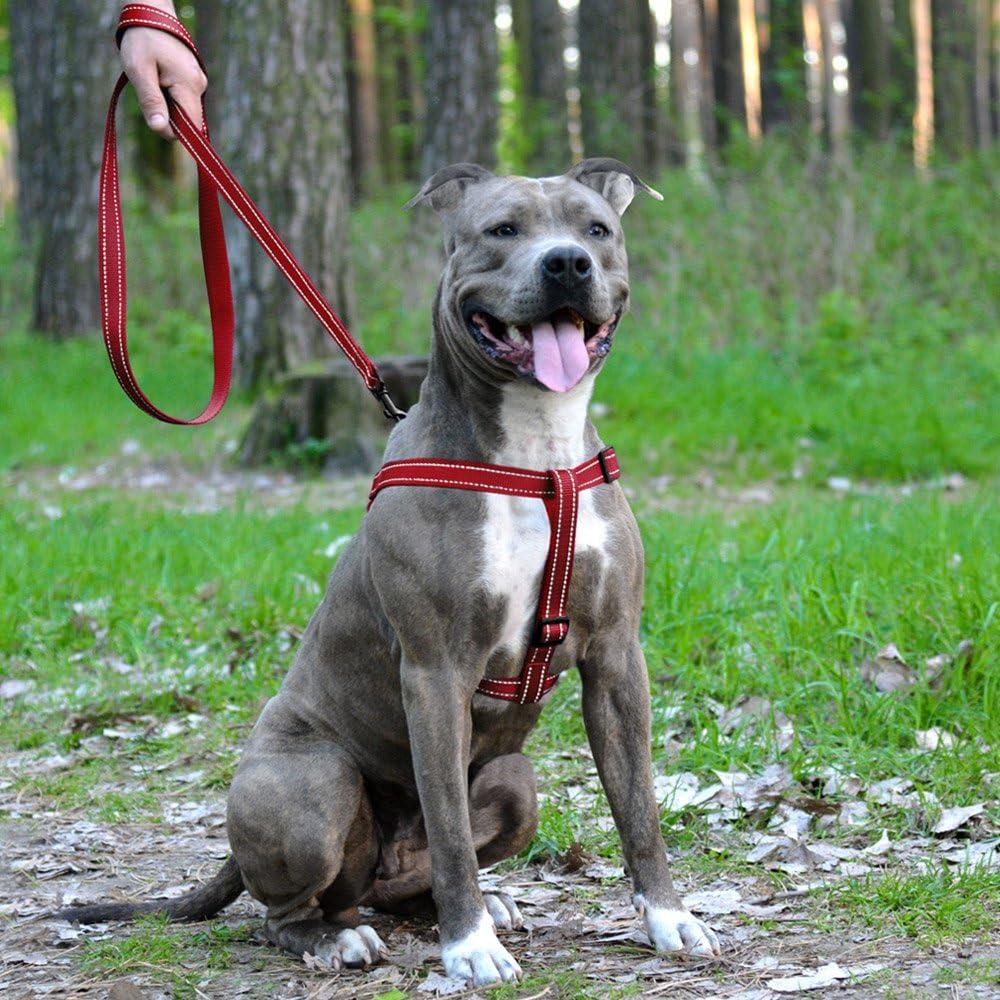 Collardirect Adjustable Reflective Dog Harness Sizes S M L for