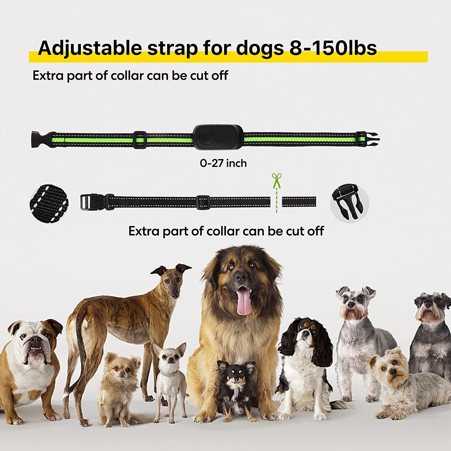 Bark collar for extra large dogs shop