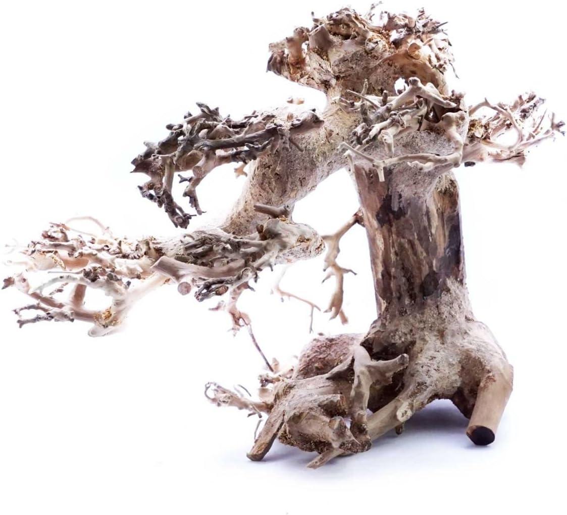 Superfish Natural Wood Bonsai Driftwood Small 23x12x15