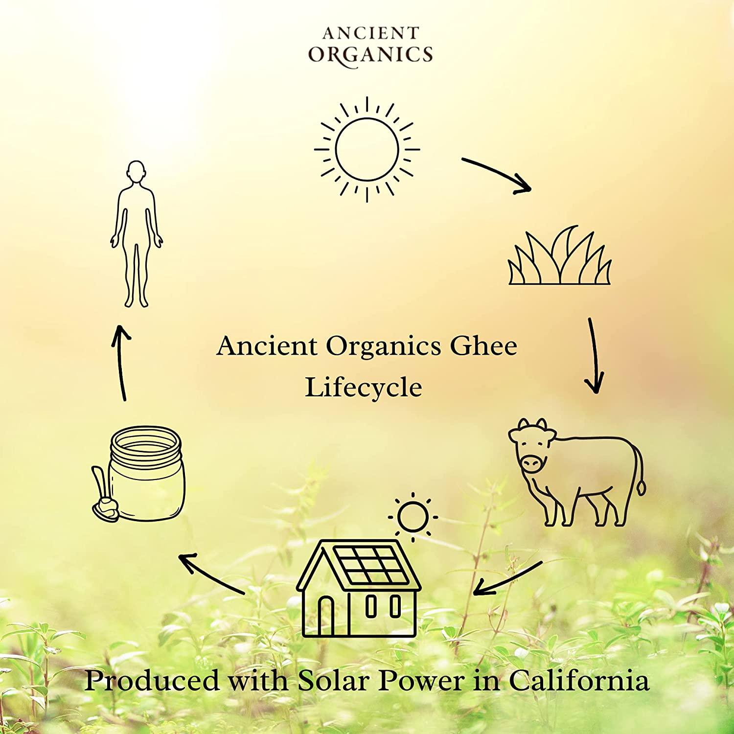 Ancient Organics Ghee, Organic Grass Fed Ghee Butter Gluten Free Ghee