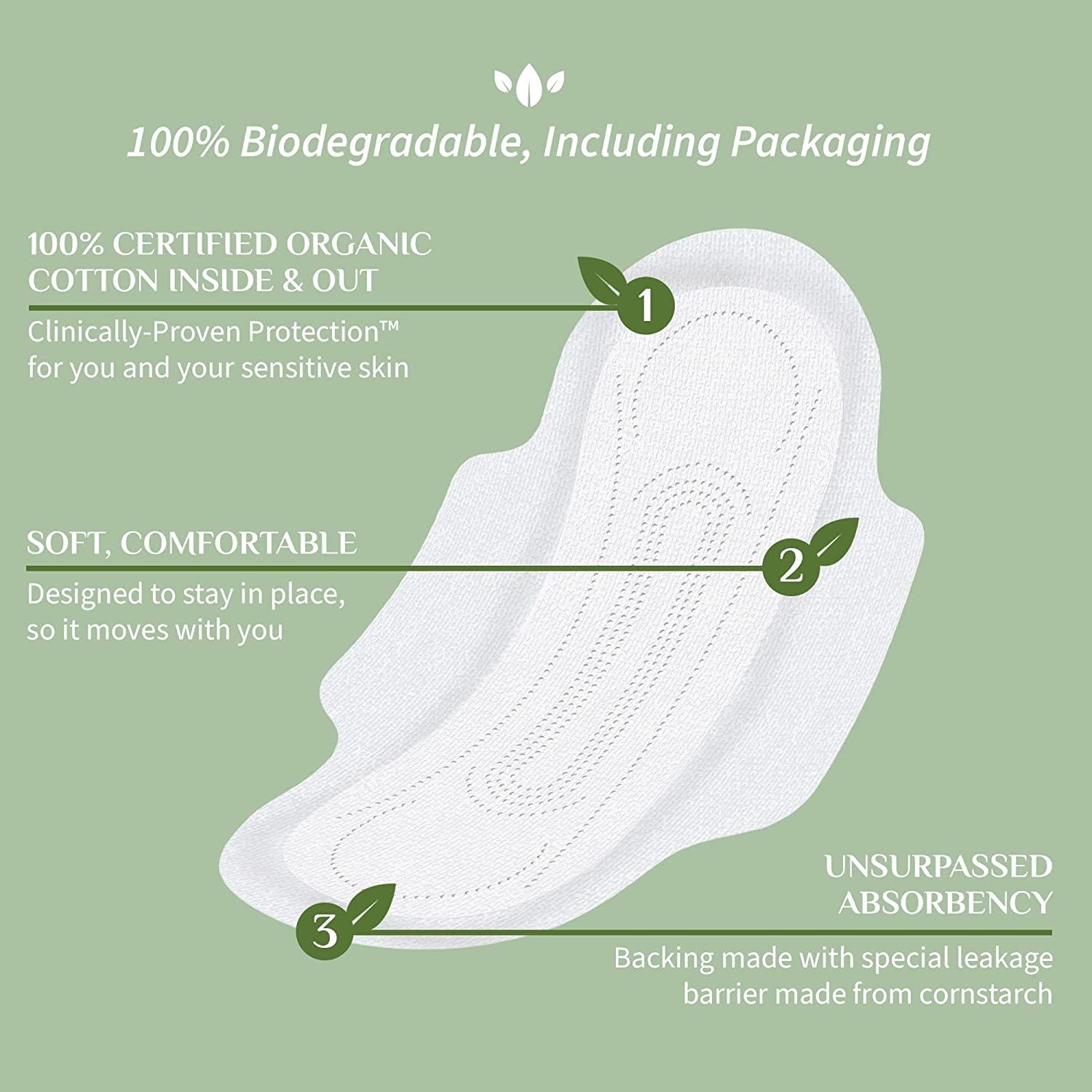 Organyc Cotton Day Pads Moderate Flow 10 Pads – Healthy Options - View #13