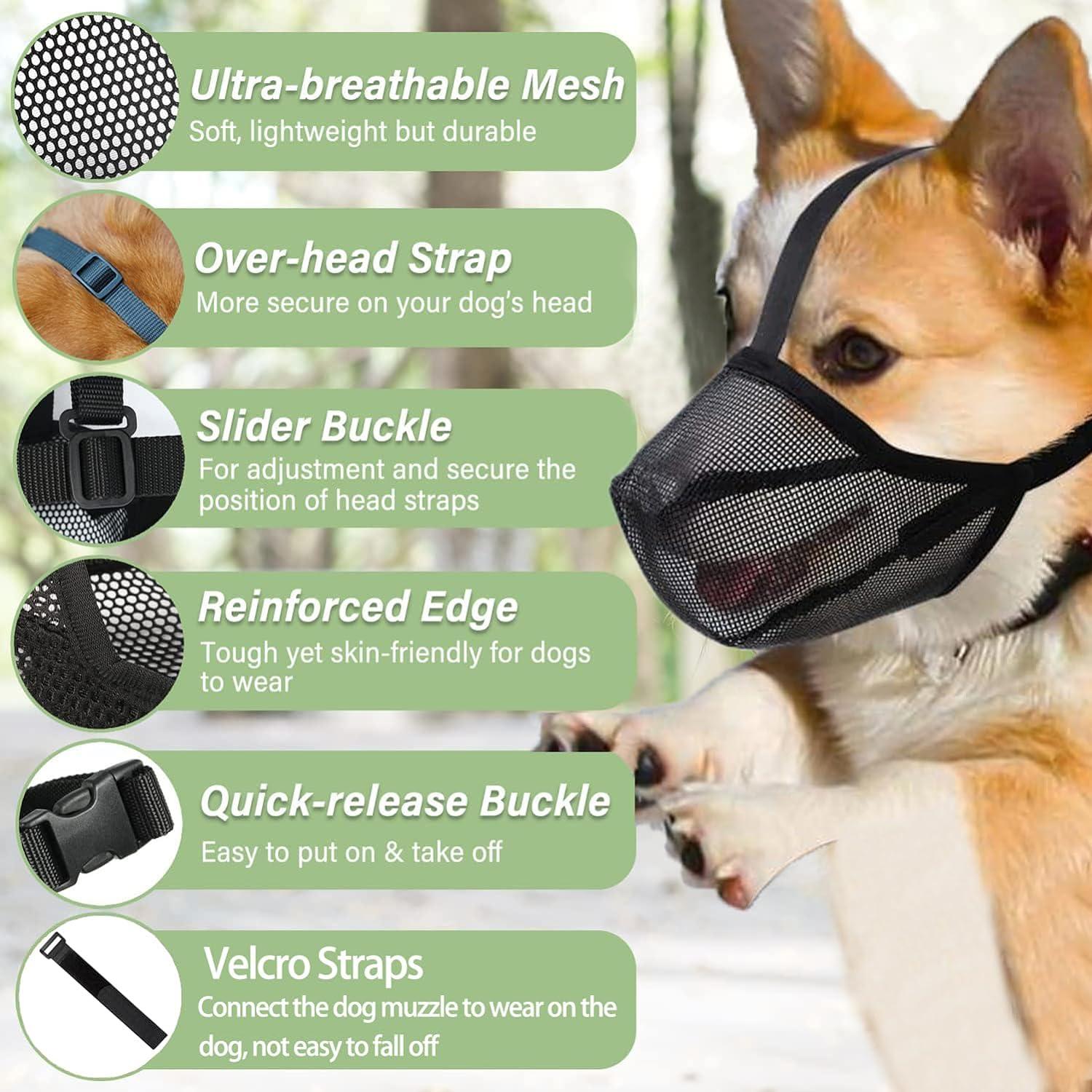 Dog Training How To Put On A Muzzle On A Dog Bull Terrier Training