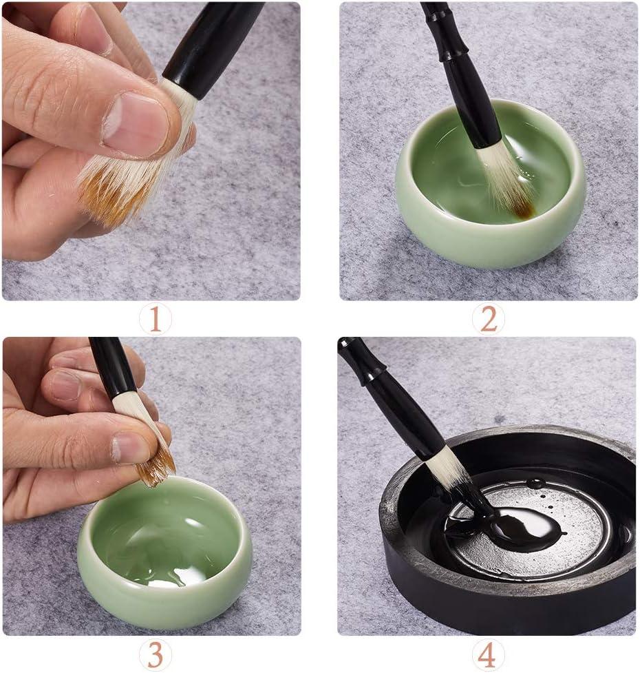 Corciosy Chinese Calligraphy Brushes Gift Set Professional Sumi Water