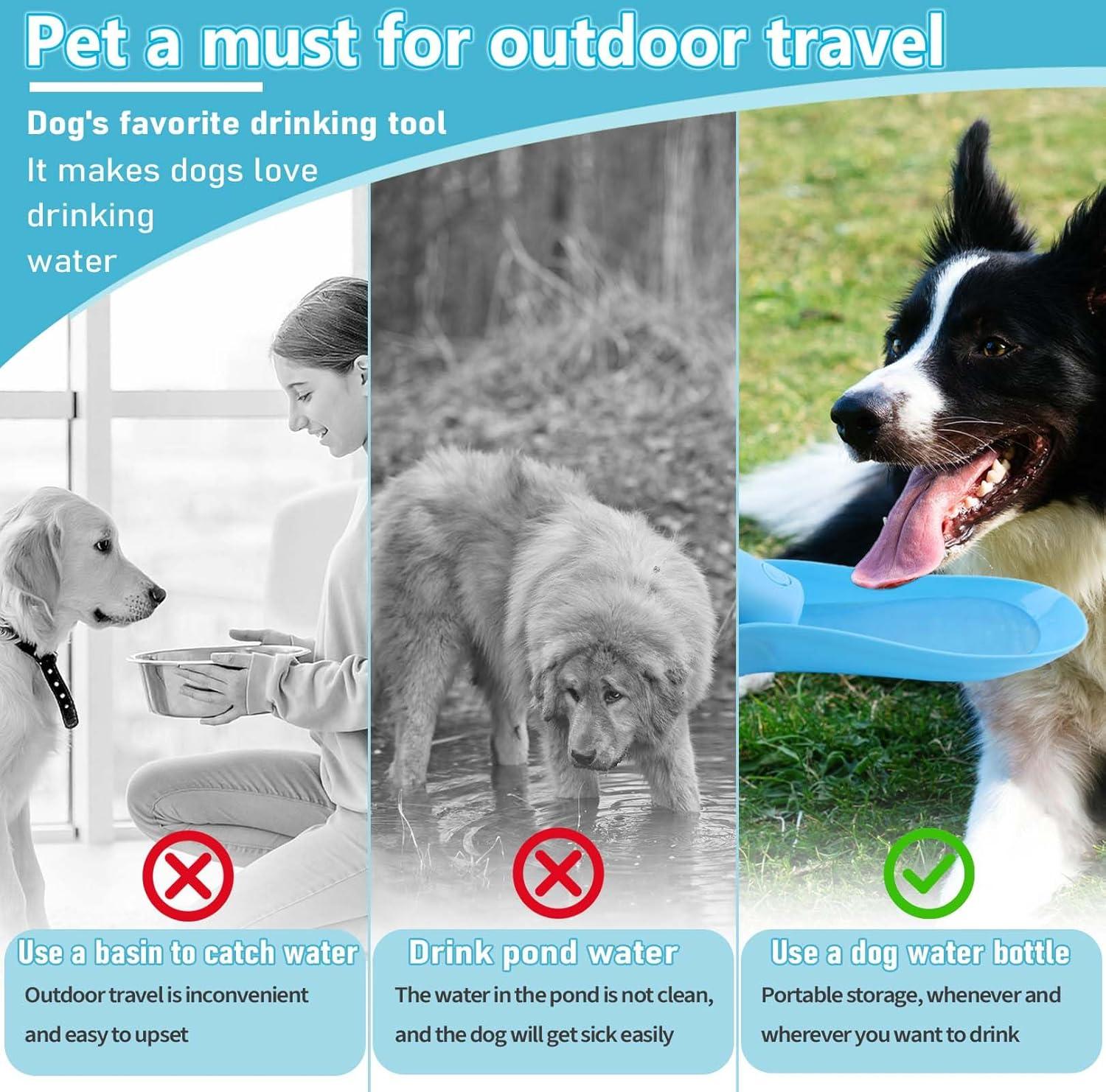 Dog Sick My Dog Drank Pond Water Dog Drink Creek Water Online